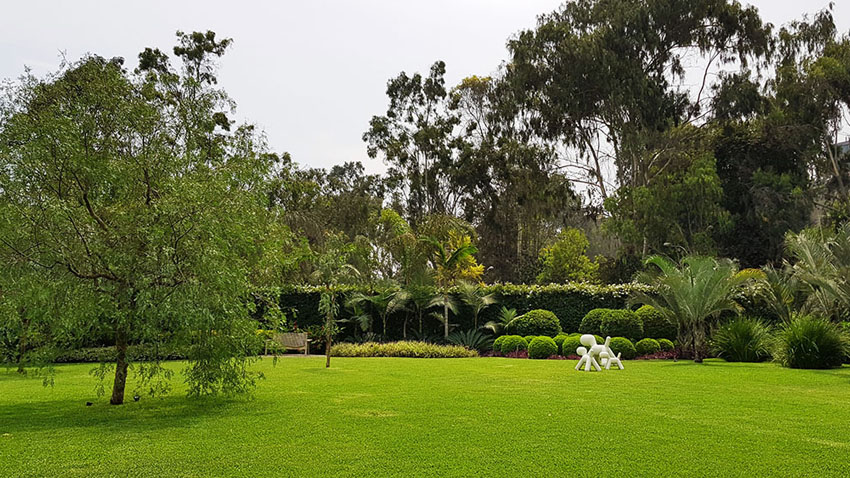 绿意盎然的家 · 打造 10 个月的世外桃源-16