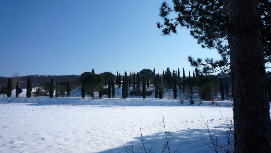 泳池与自然的完美融合-26