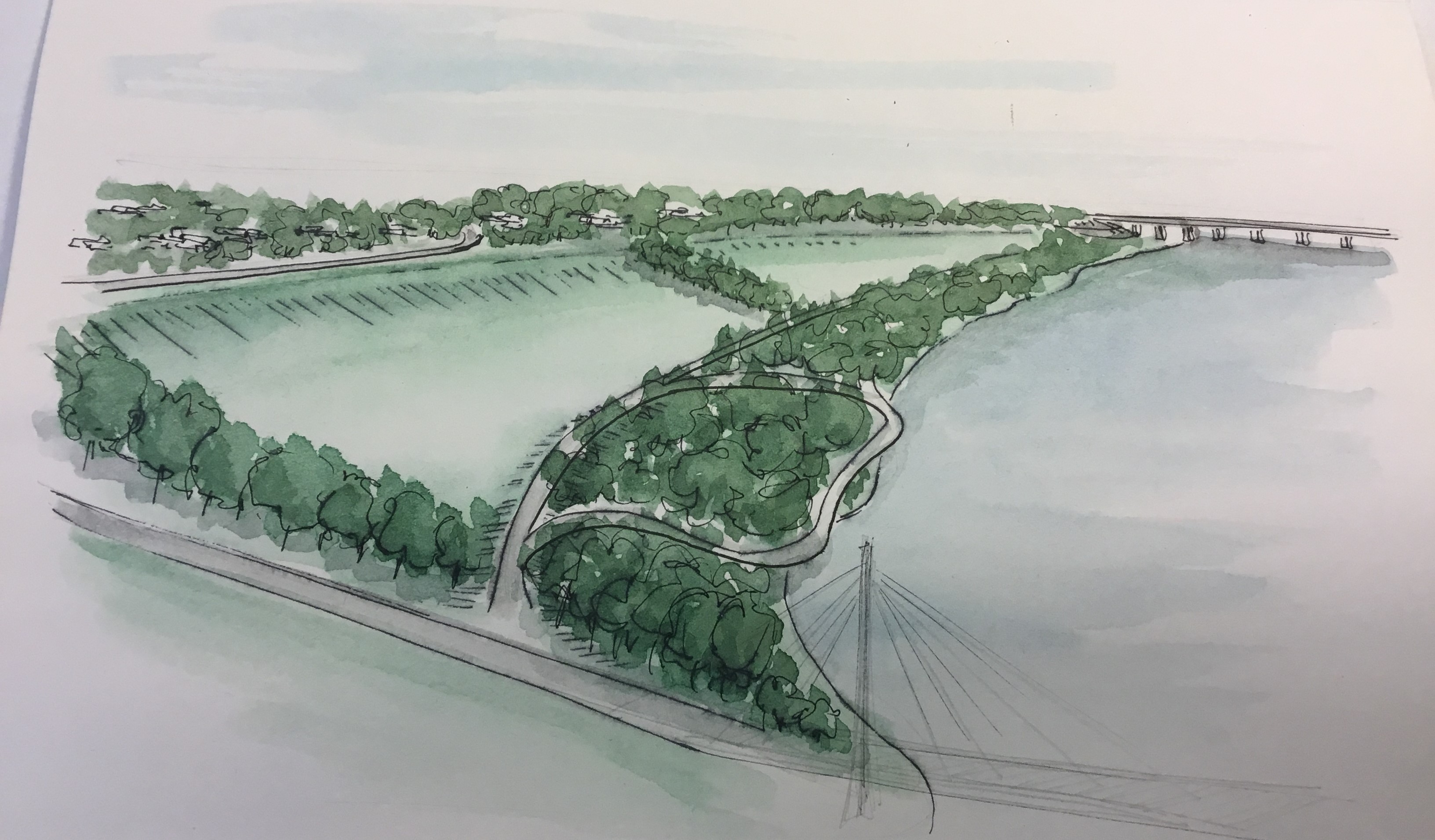 浪漫恐龙的河畔景观设计-40