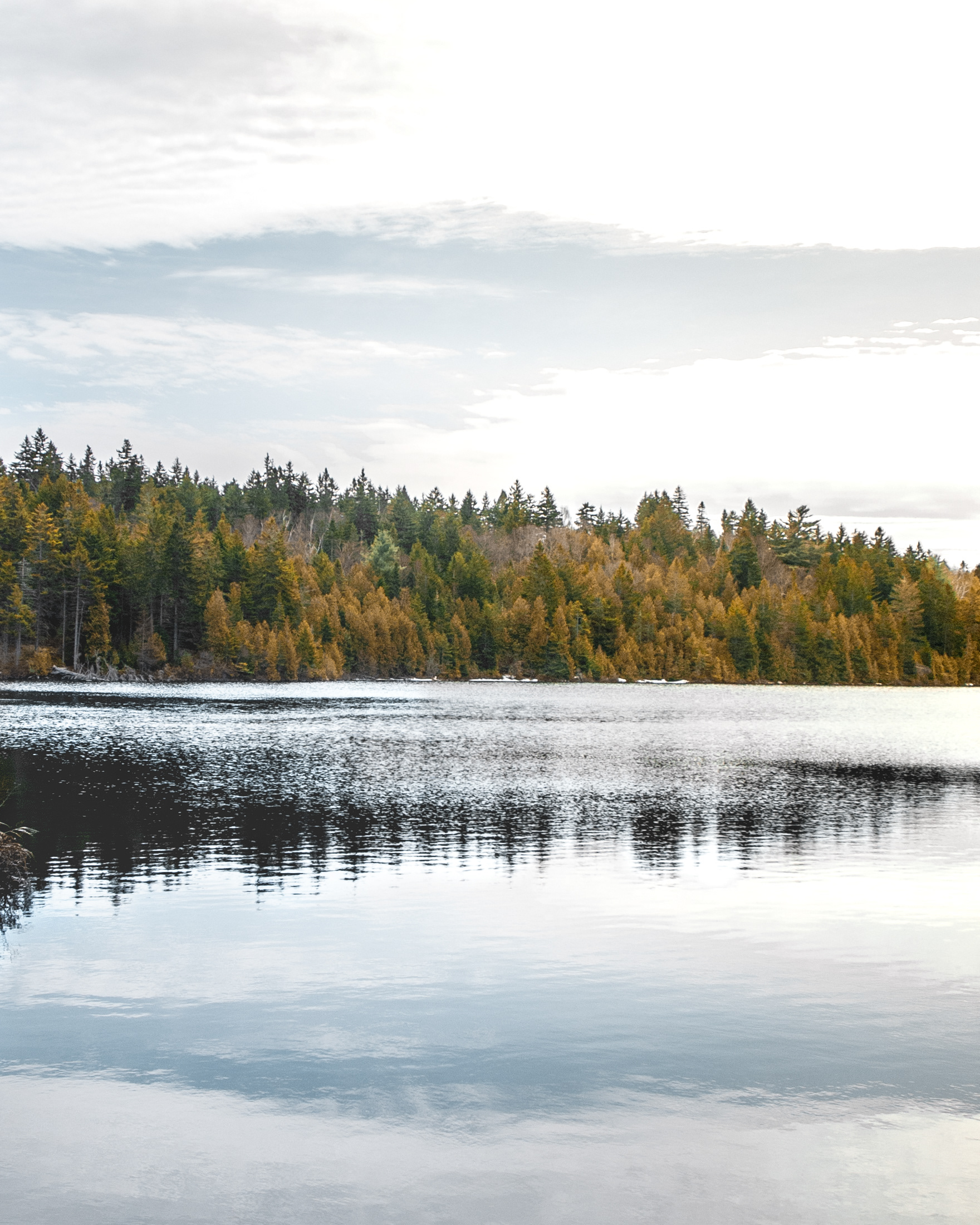 加拿大圣约翰湖畔木屋 | 温馨简约的度假胜地-10