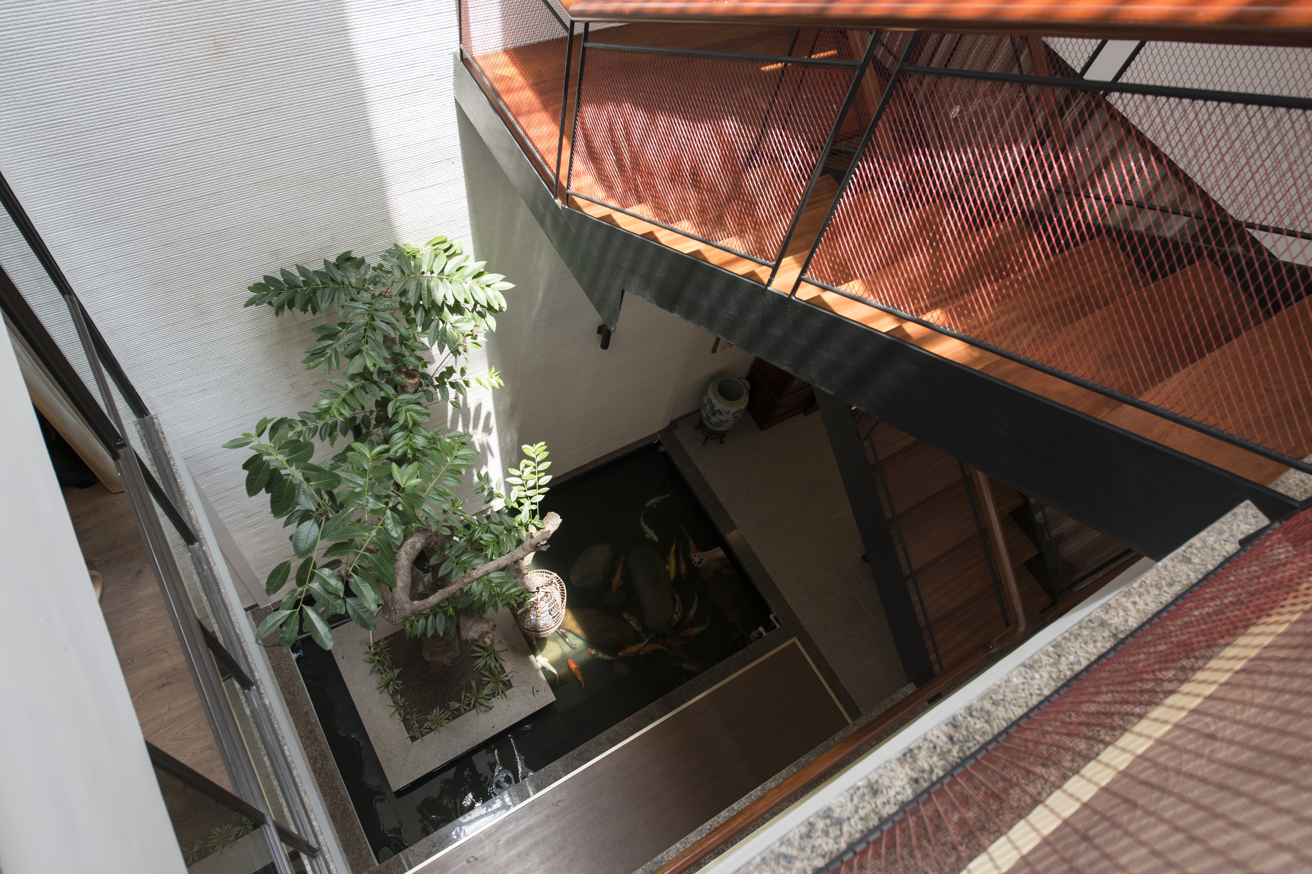 越南情感之家-5