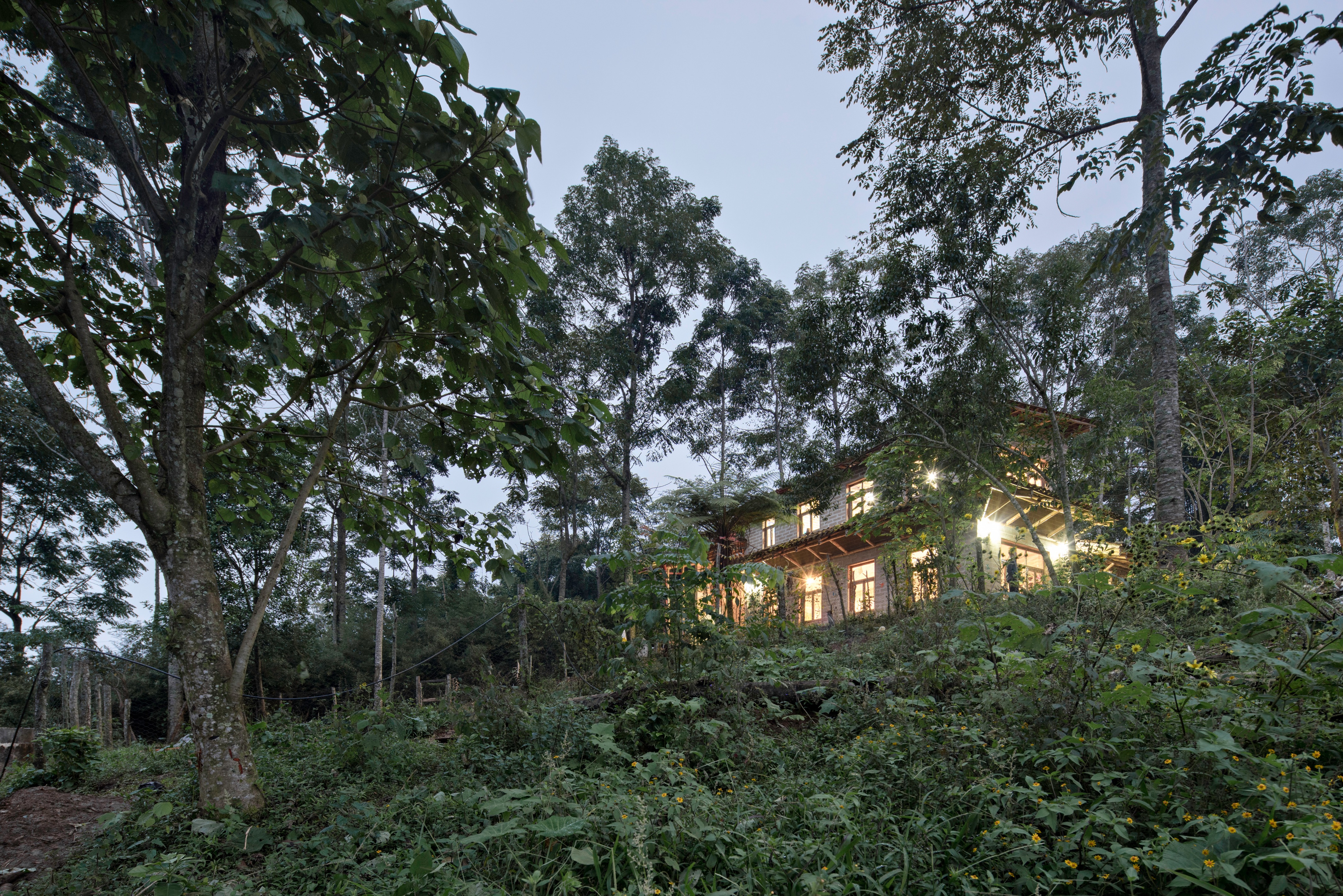 蒙特梭利·托塞潘双语学校-14