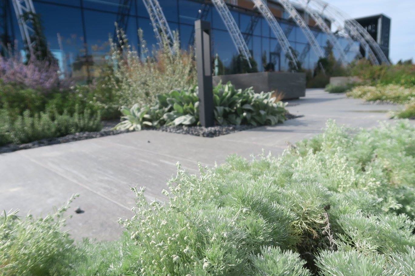 2017 年完成的 Scrigno Lab 项目——室内设计精品之作-21