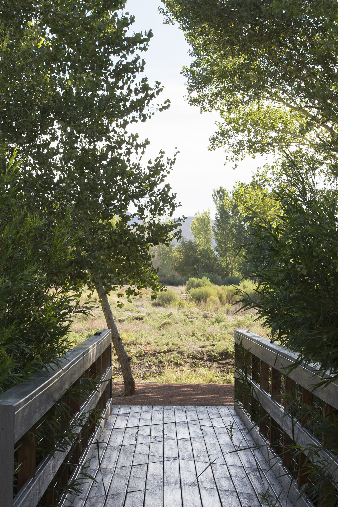帕拉纳加特国家野生动物保护区游客中心-5