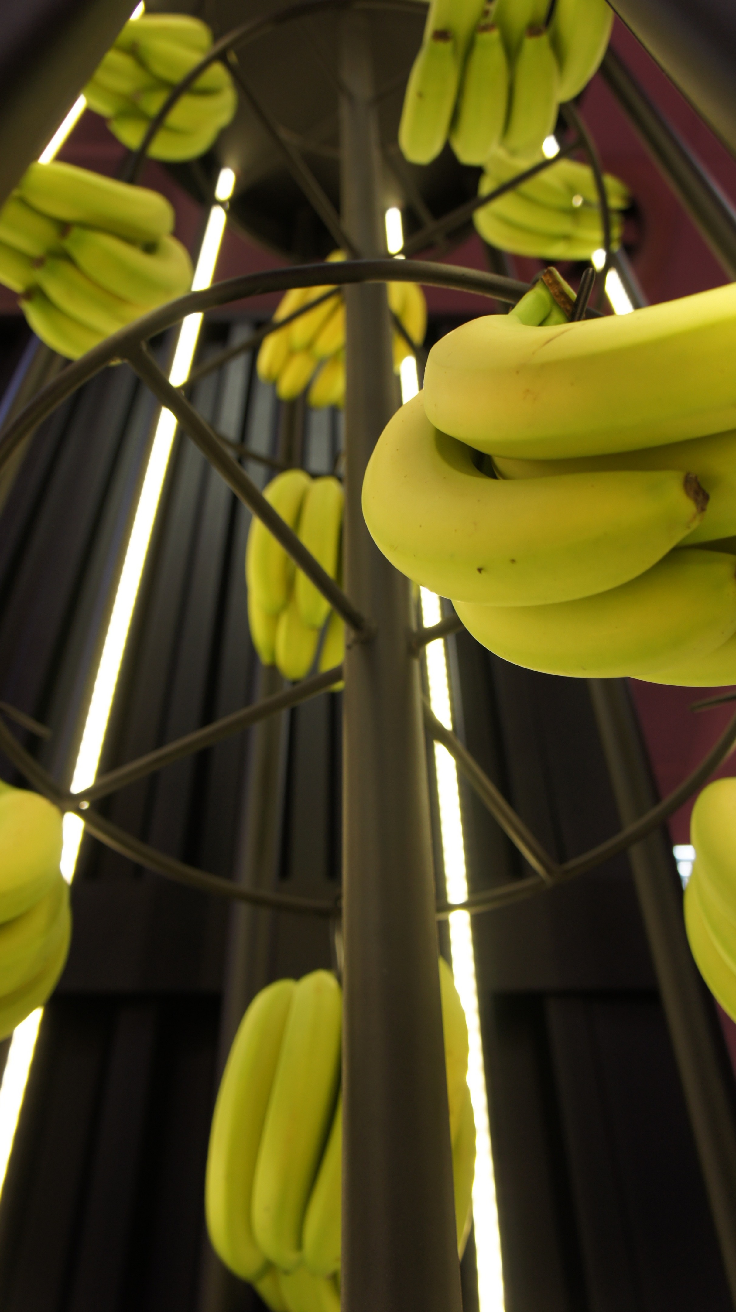 2018 年完成的垂直花园墙展览设计-11