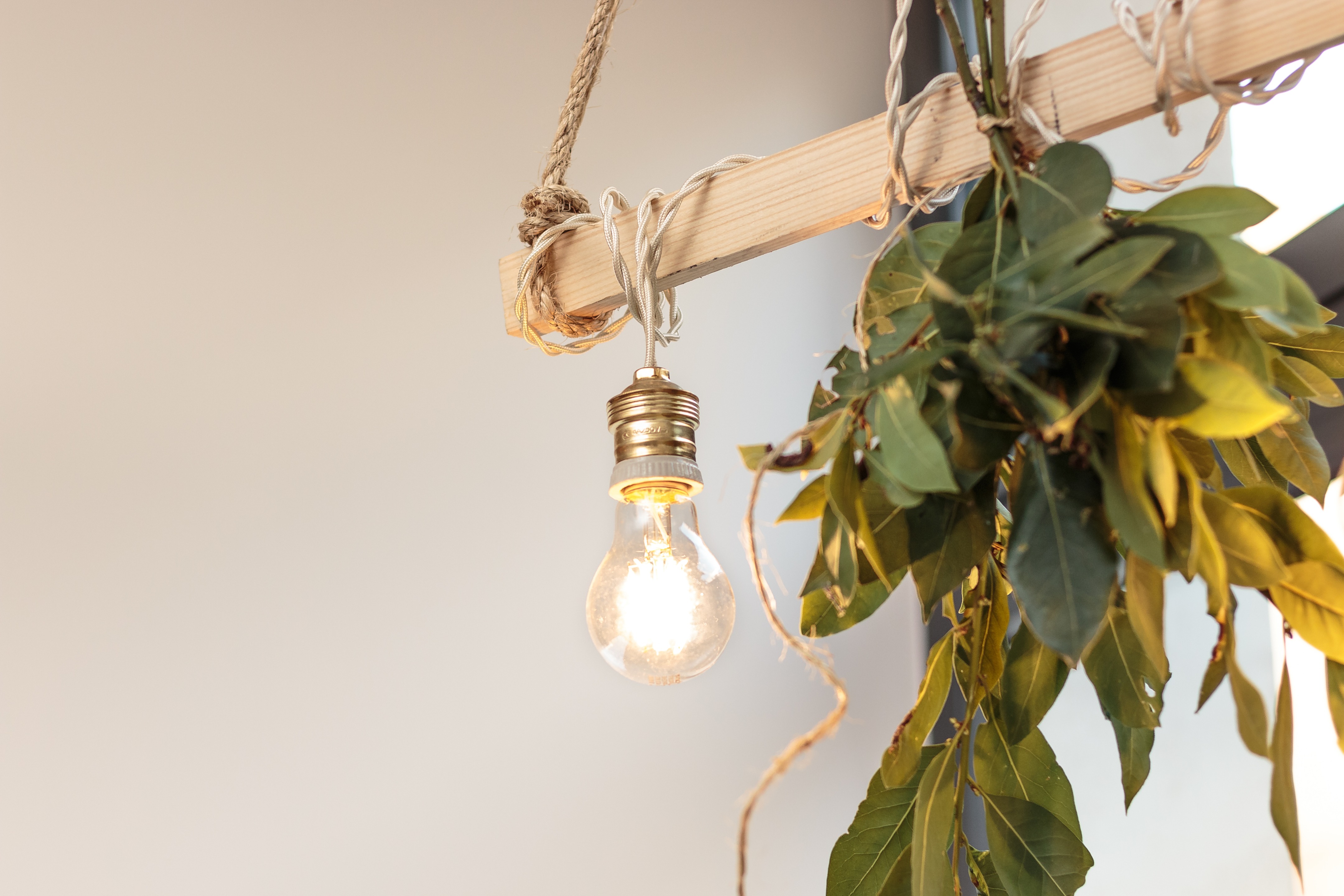 纯粹之爱 | 传统与土地的深情链接-8