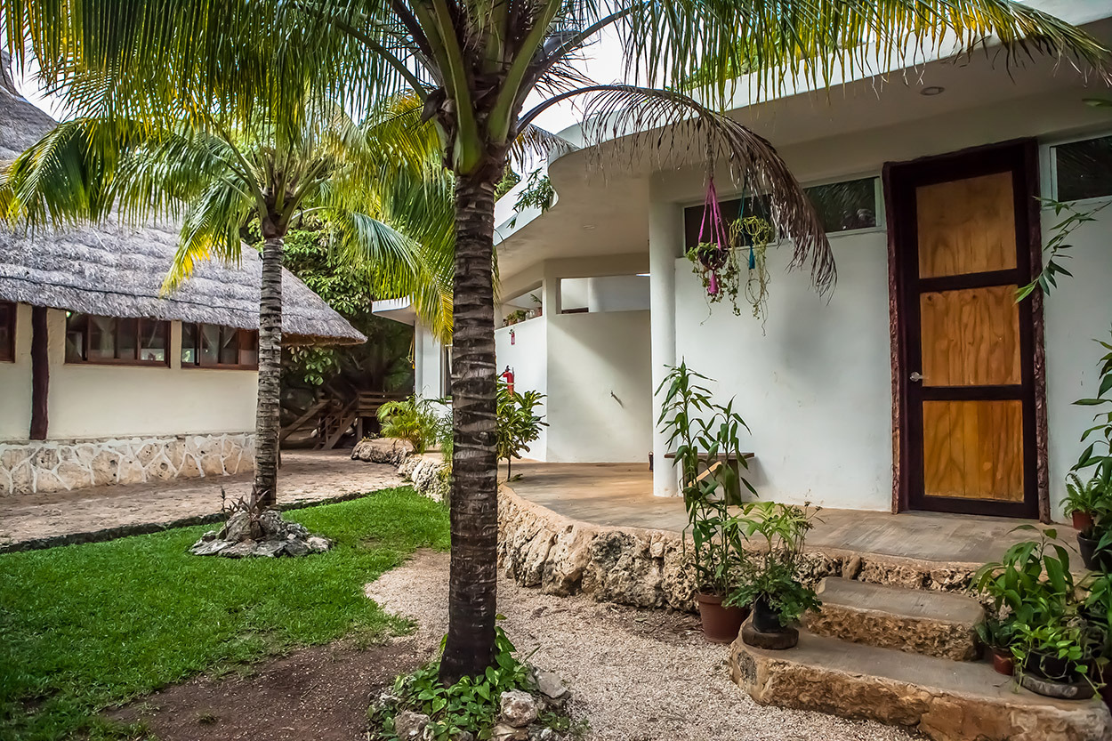 海洋之校 | Waldorf Initiative 学校设计-27