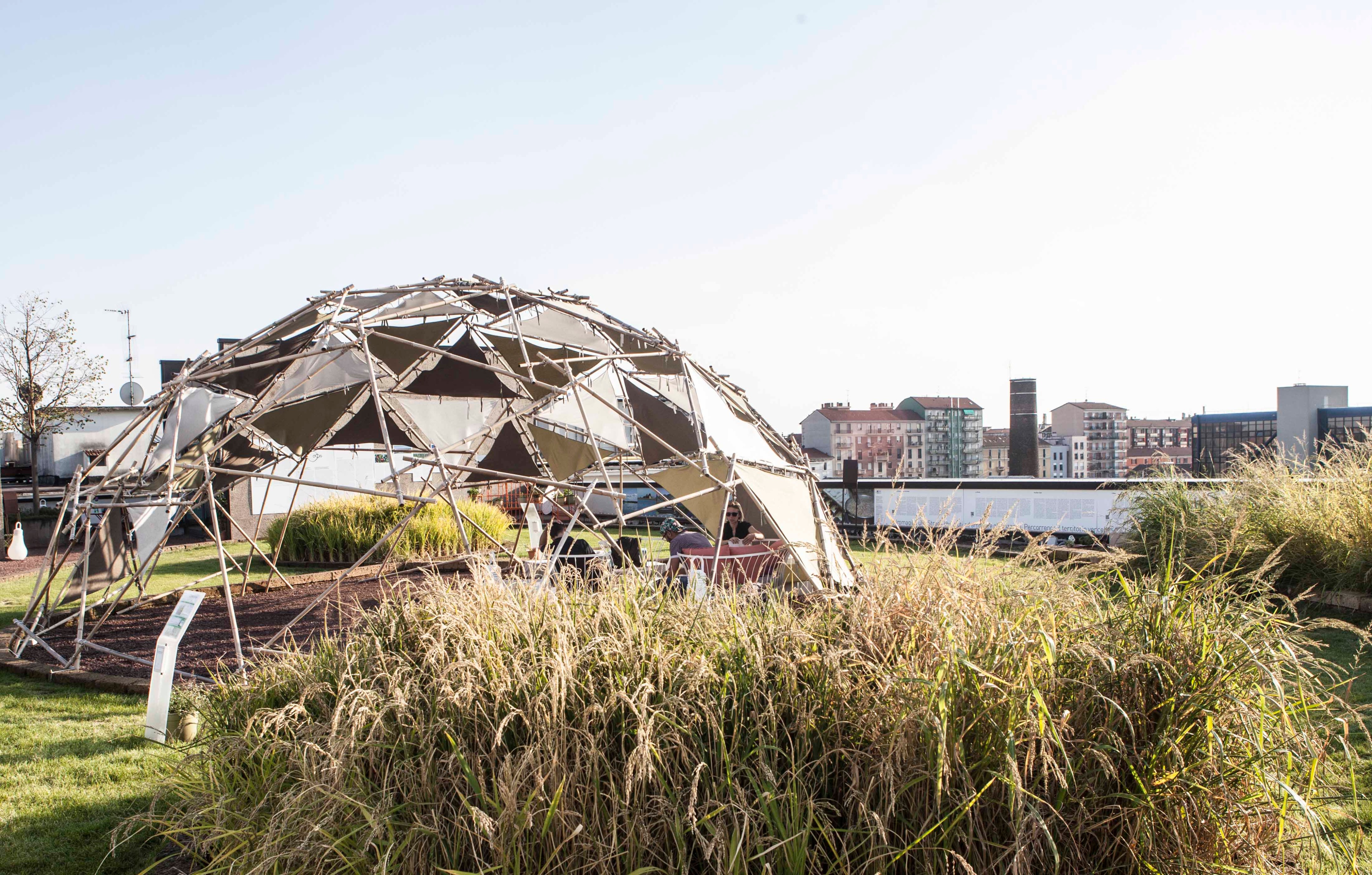 米兰屋顶稻田 · 创新城市农业设计-15