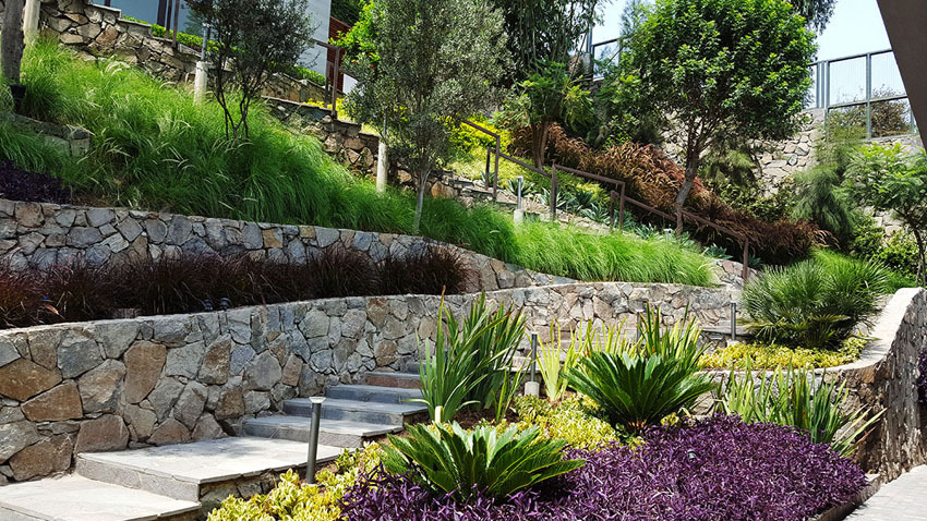 绿意盎然的家 · 打造 10 个月的世外桃源-5