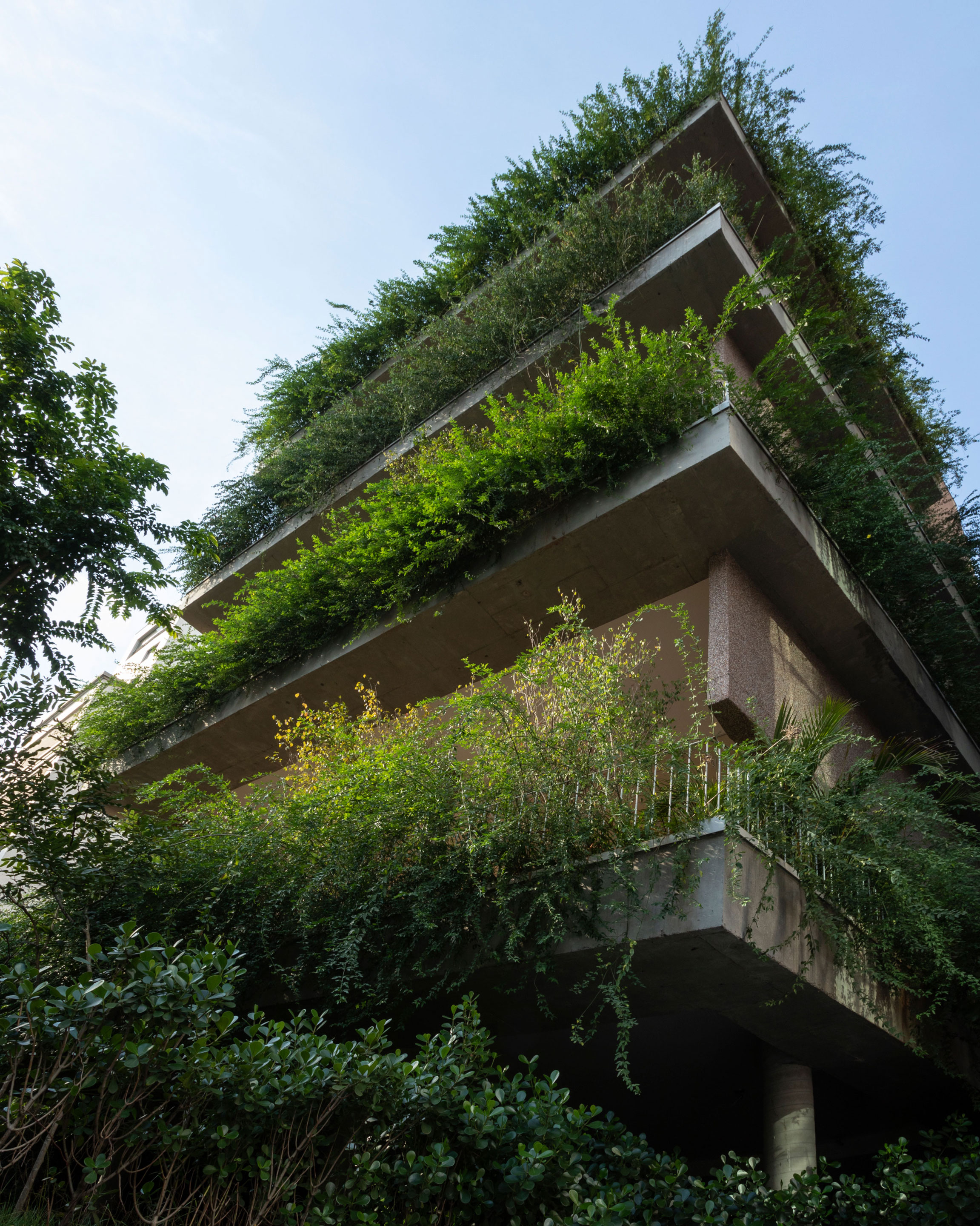 巴西绿色住宅楼，绿意盎然与城市景观相融-3