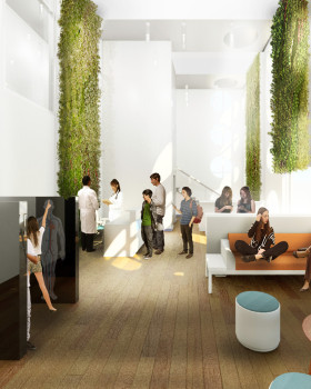 Youth Wellness Center