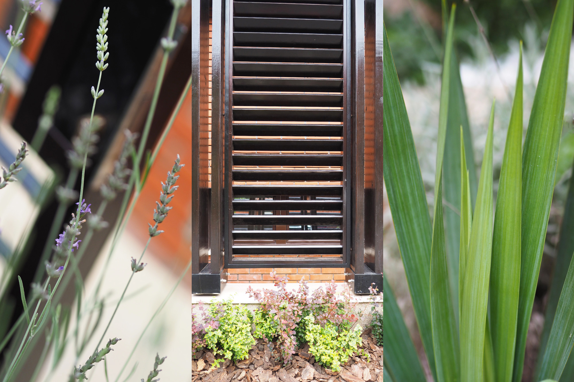 城市中的世外桃源-6