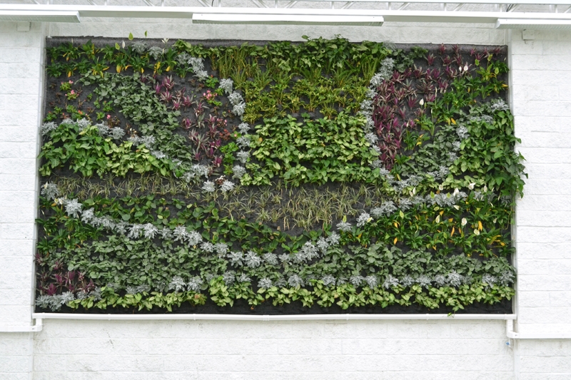 哥伦比亚 Ibague 泛美书店-7