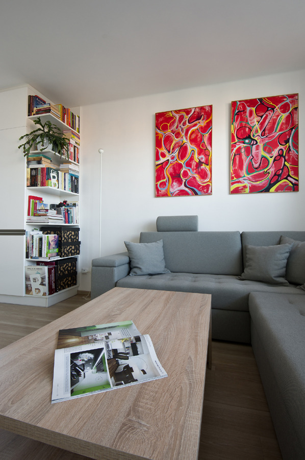 2016 年完成的捷克小镇公寓室内设计-3