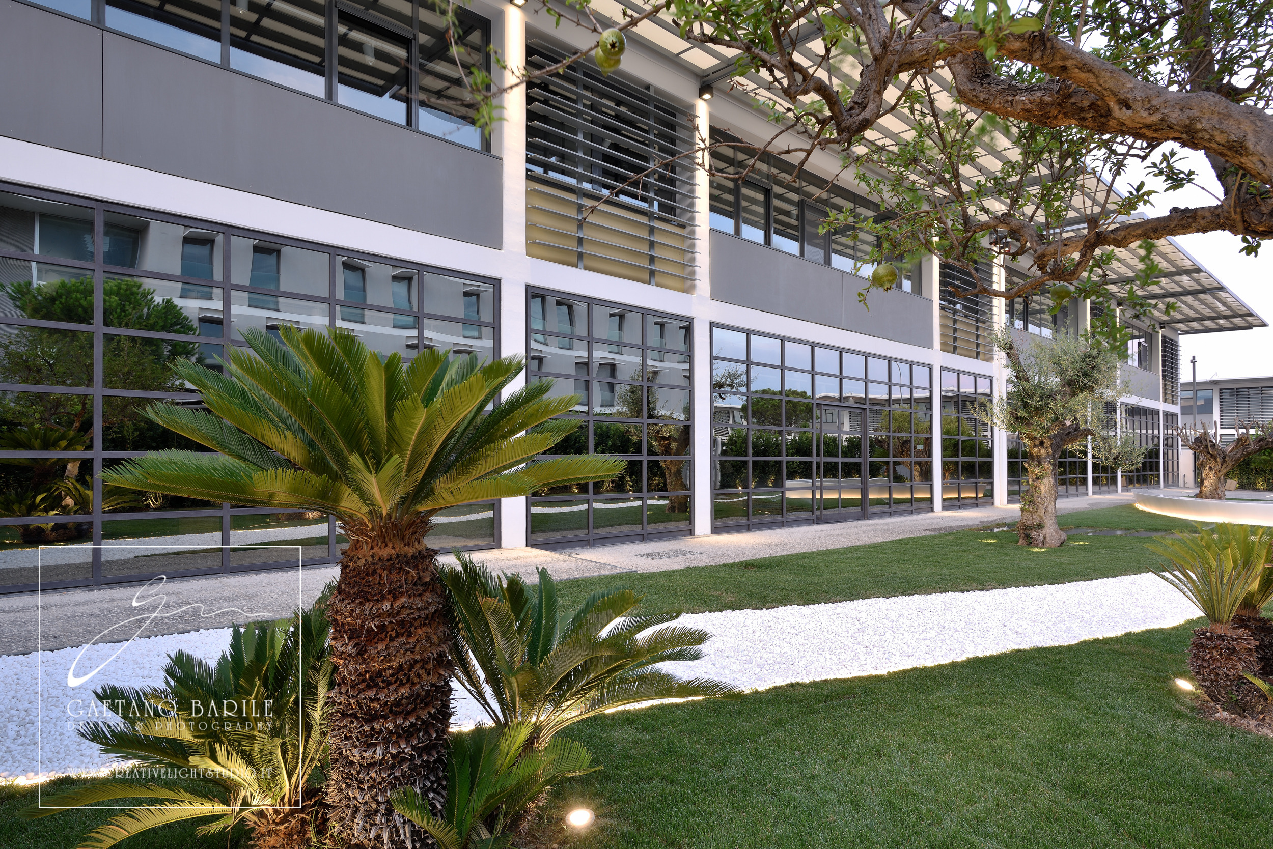 梦想项目 S·p·a·-2