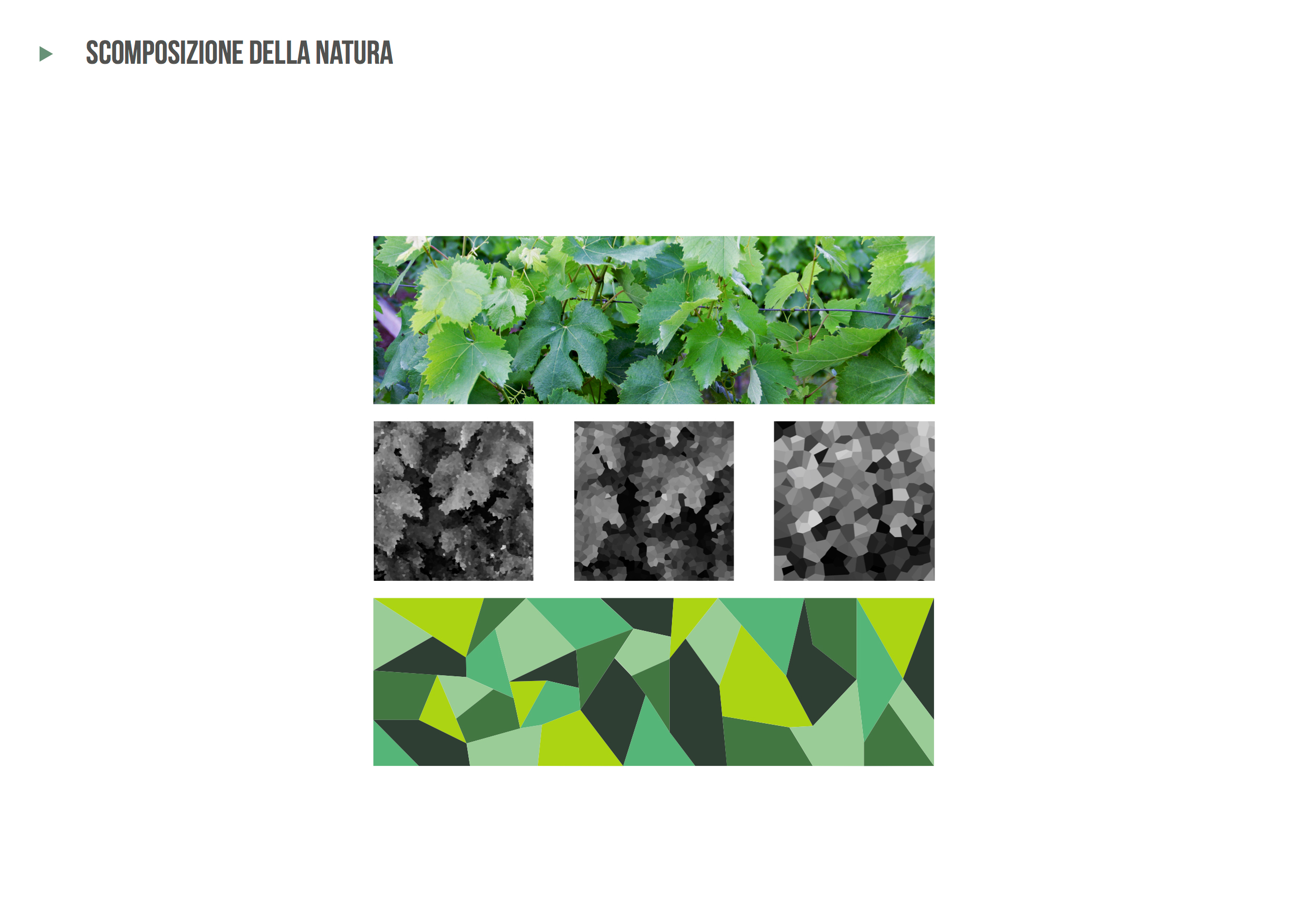 记忆之地（The Memory of Places）-2