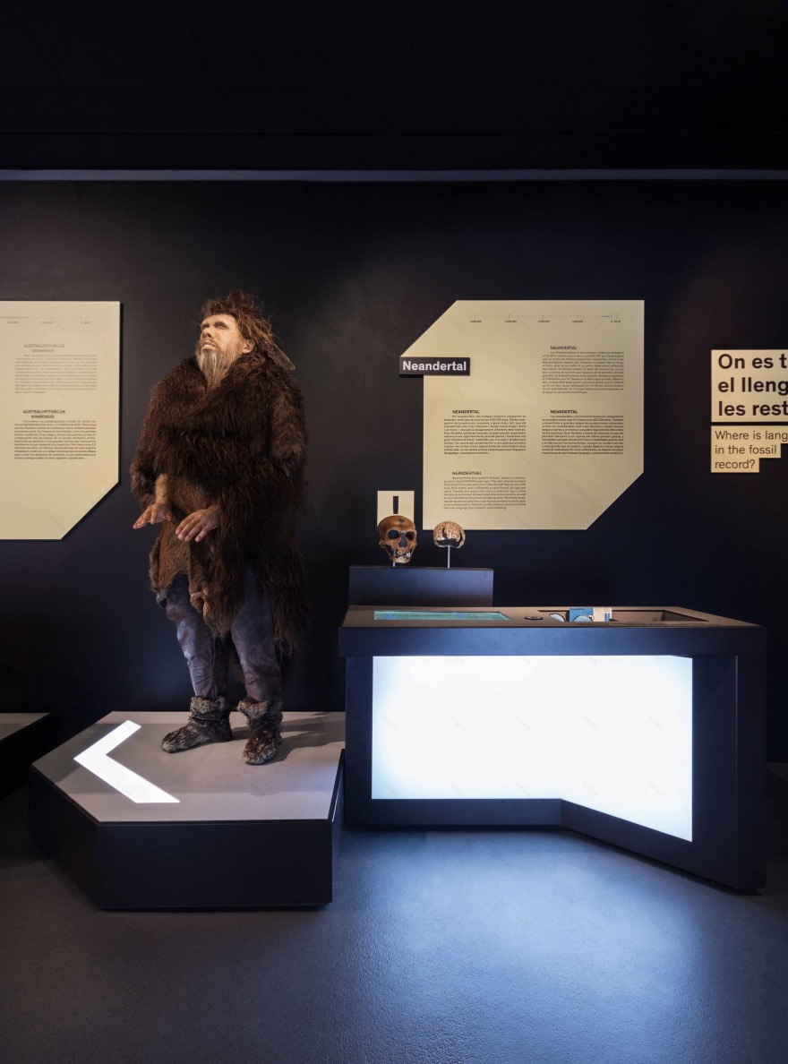 Talking Brains 展览设计-35