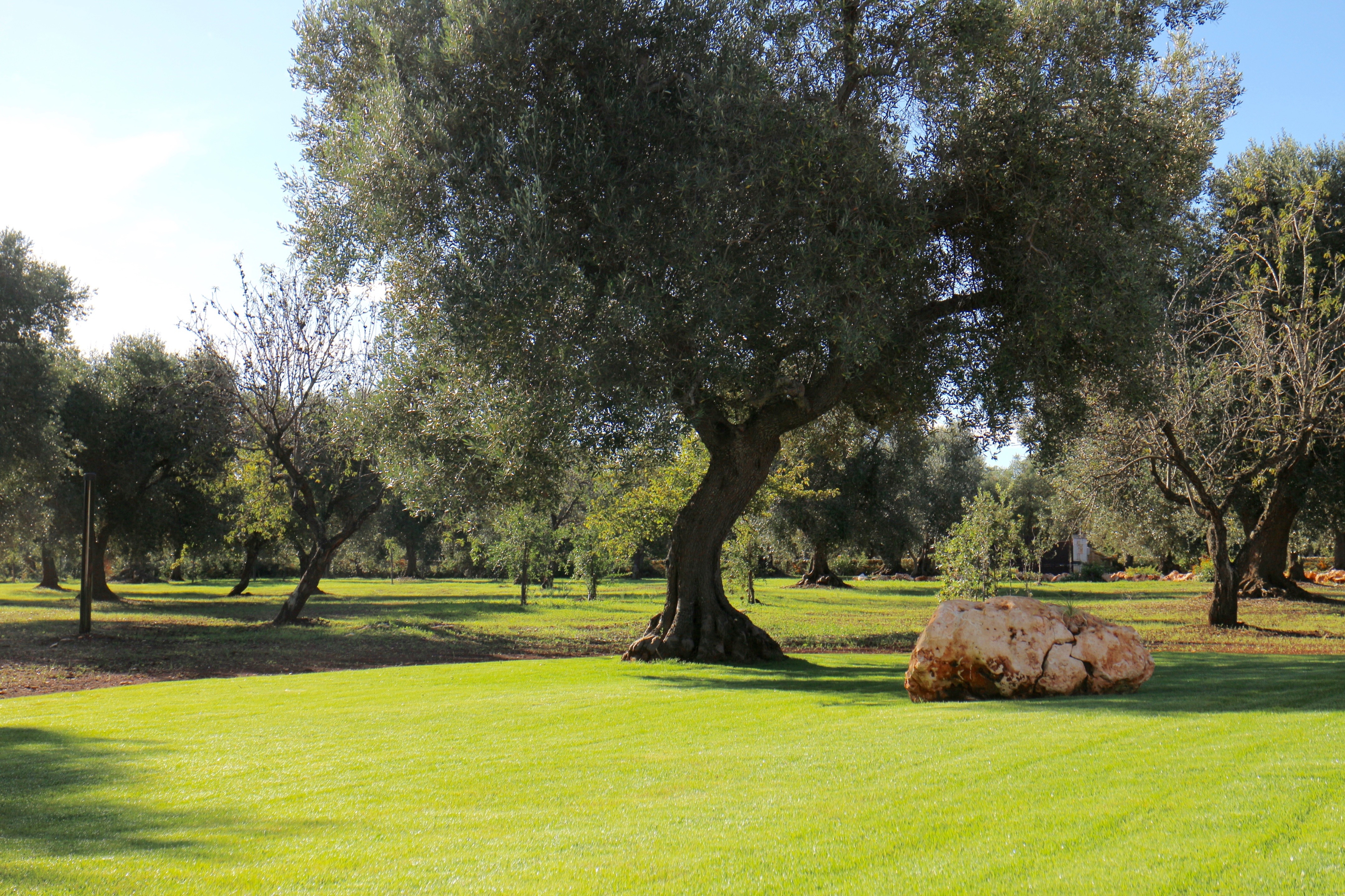 意大利乡村风格度假别墅设计-9