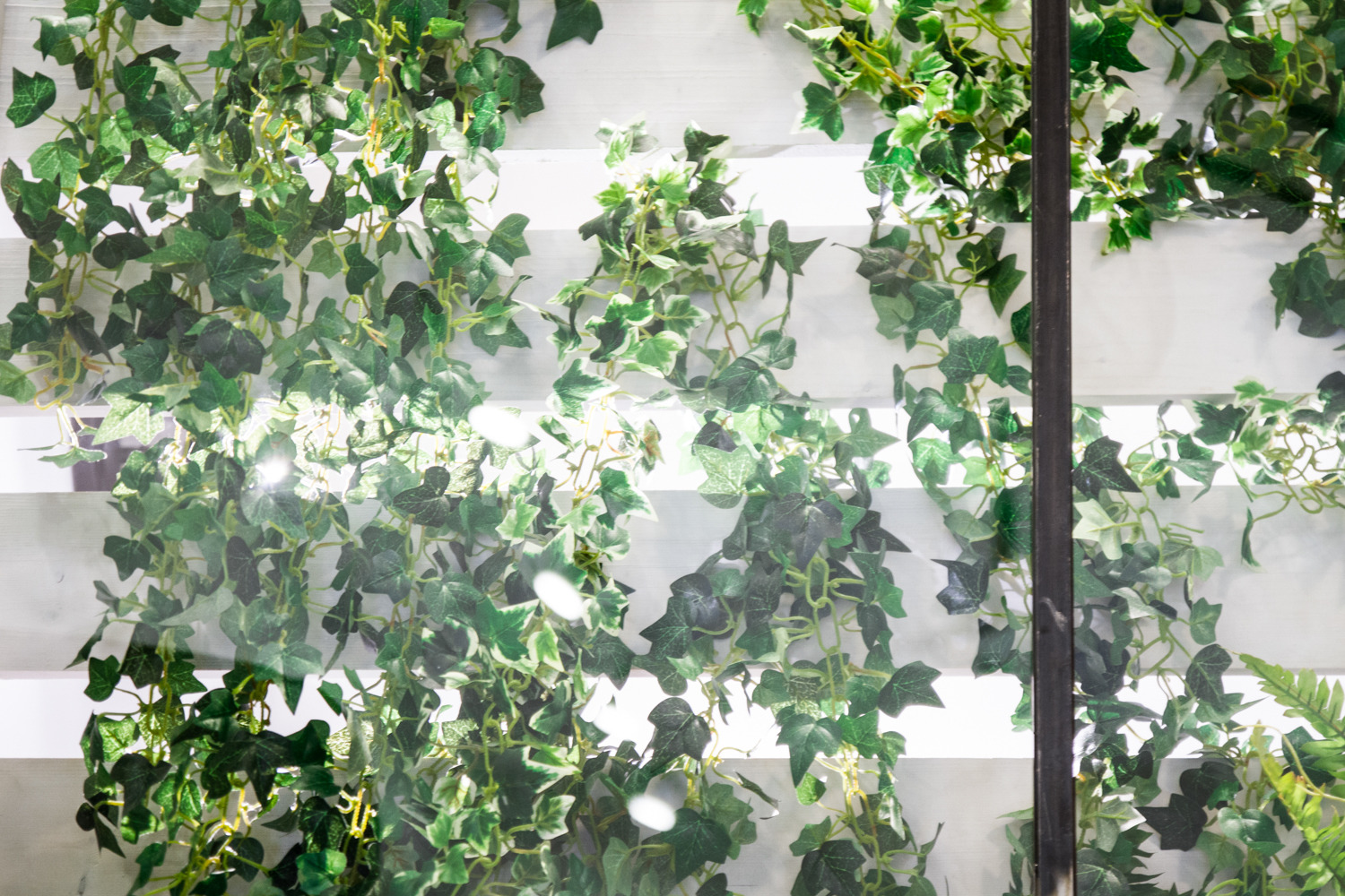 绿意盎然的空间艺术-13