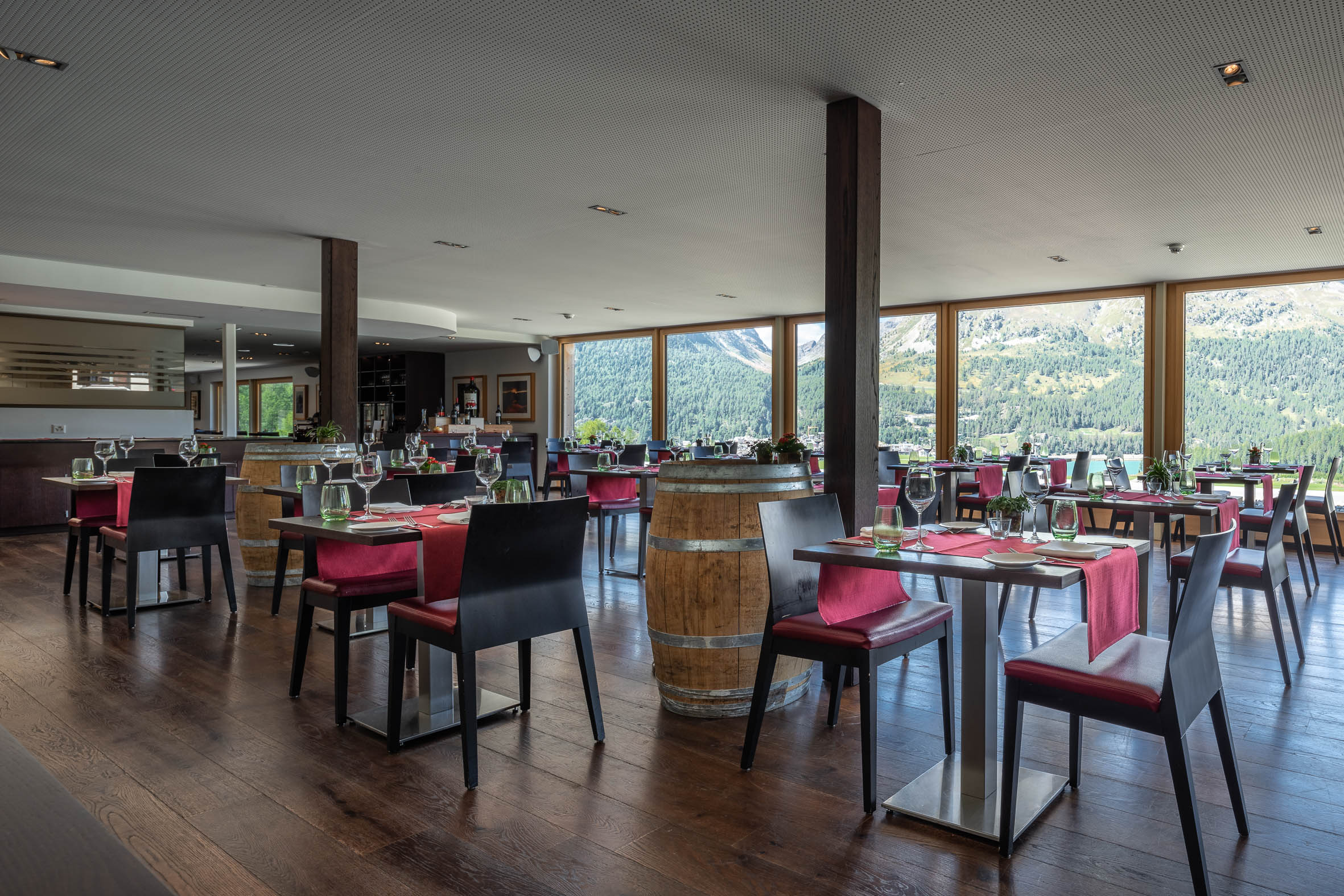 Nira Alpina Silvaplana 设计酒店-3