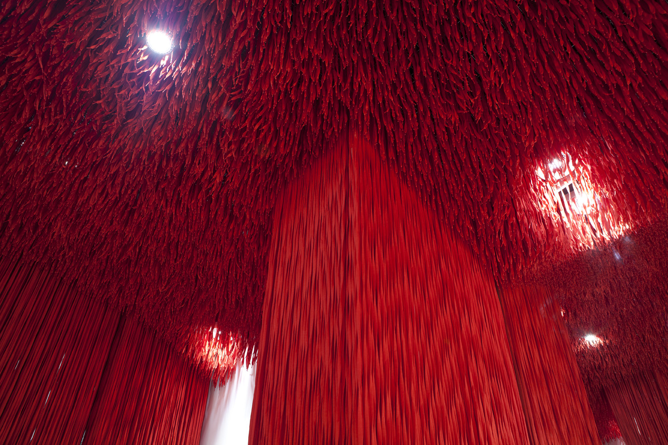 露营者在一起 巴西 圣保罗-4