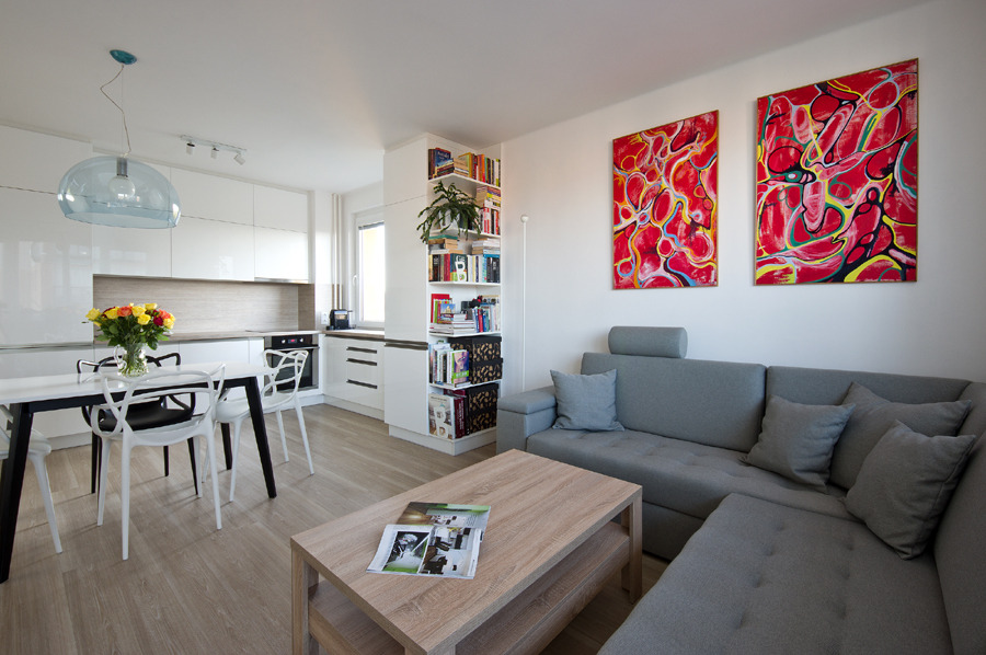 2016 年完成的捷克小镇公寓室内设计-1