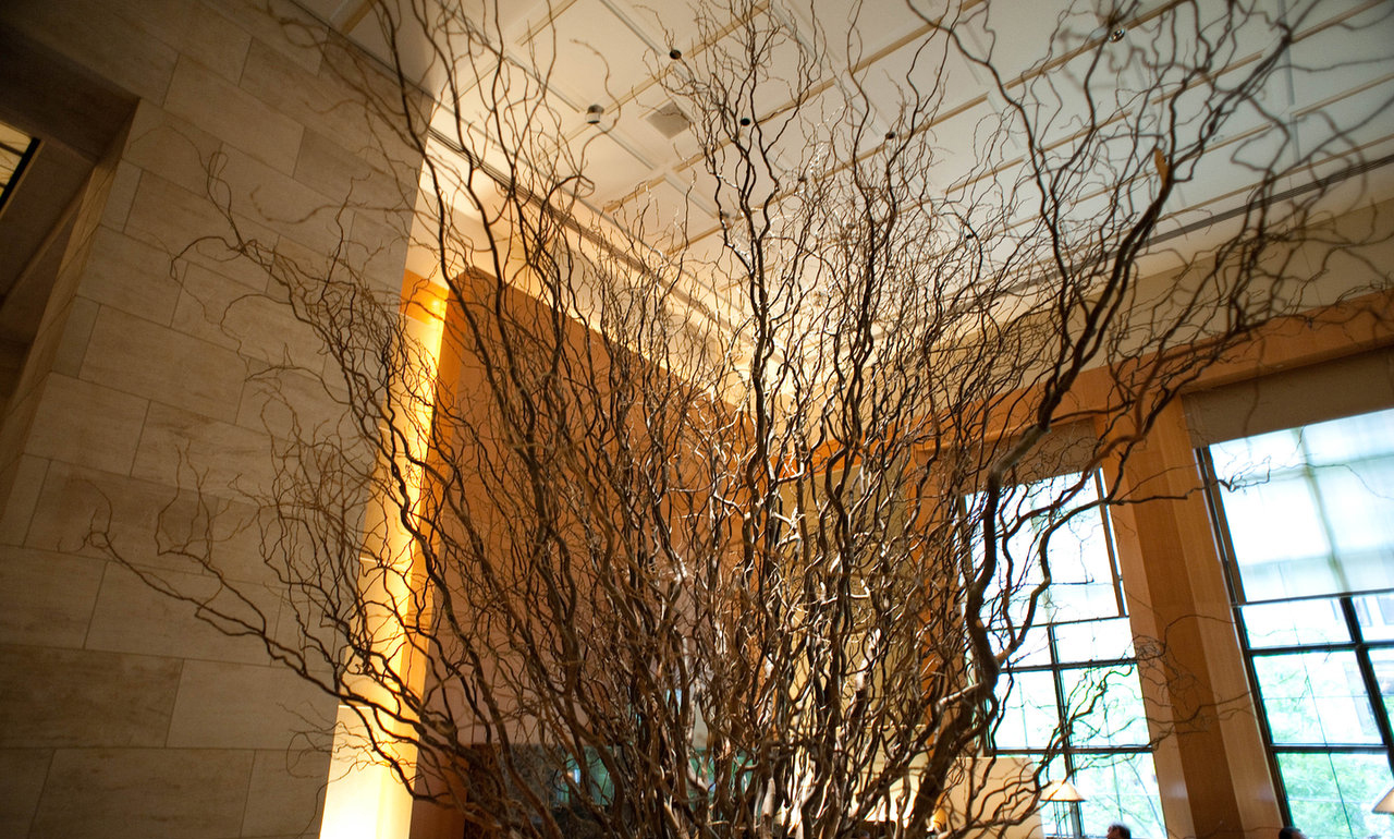 纽约四季酒店全日餐厅The Garden—New York Manhattan-27