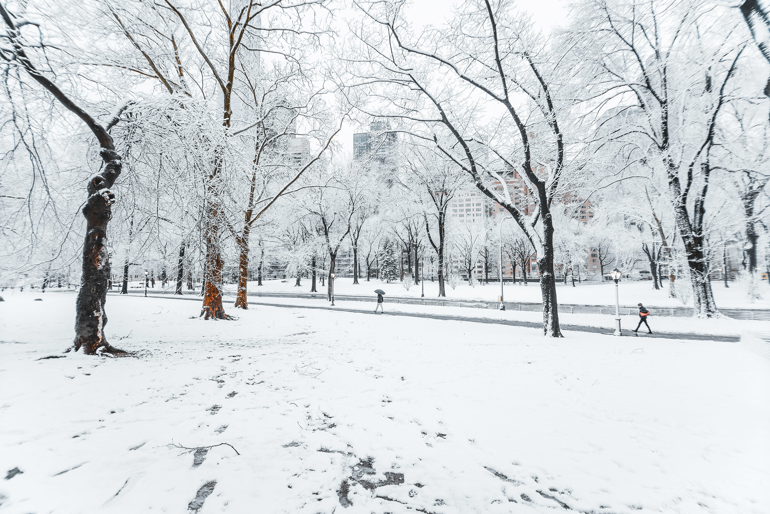 纽约 24 小时 | 中央公园、布鲁克林、中国城、中城、炮台公园-4