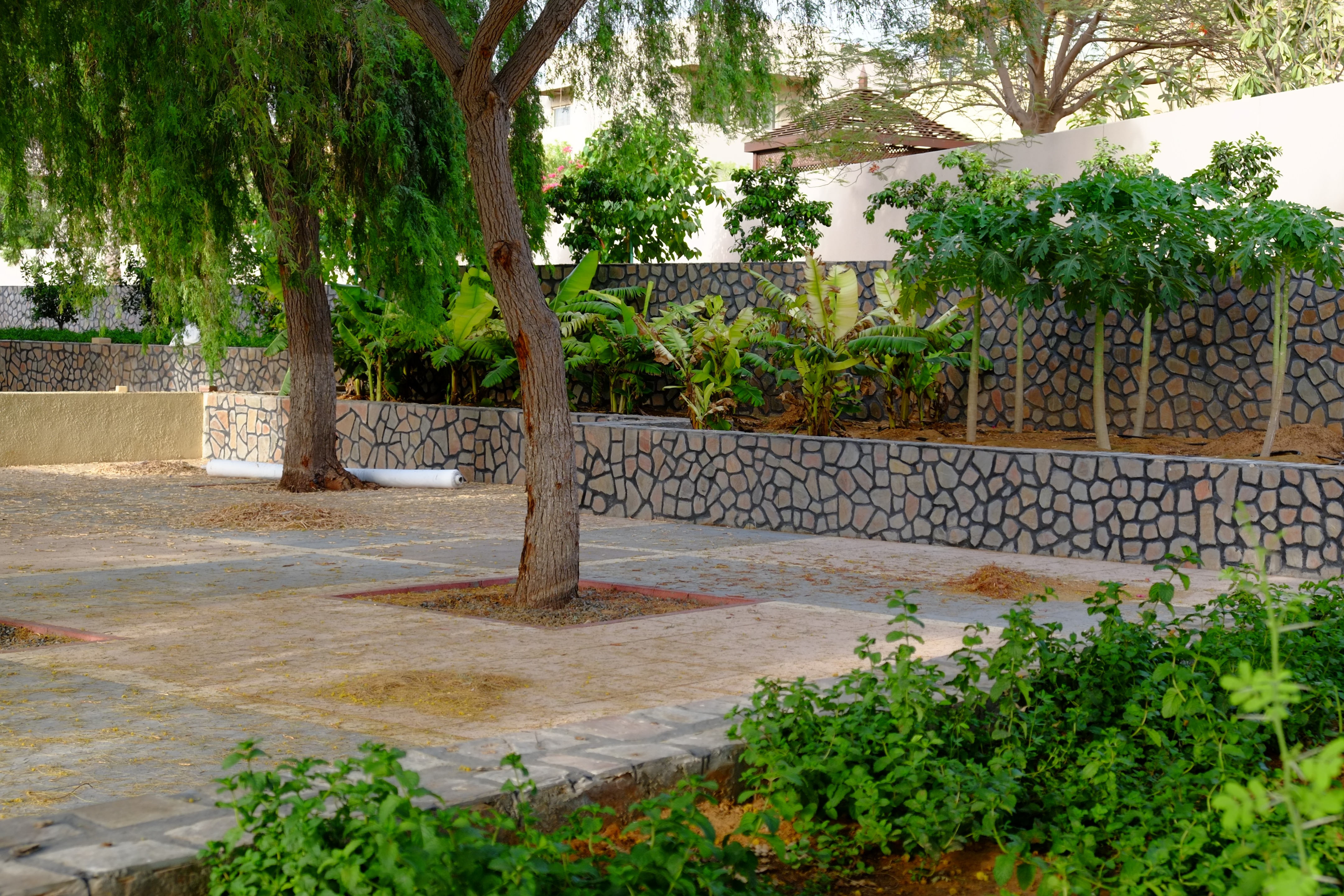 阿拉伯绿洲——迪拜亚拉巴马 ranchs 老入口景观升级-5