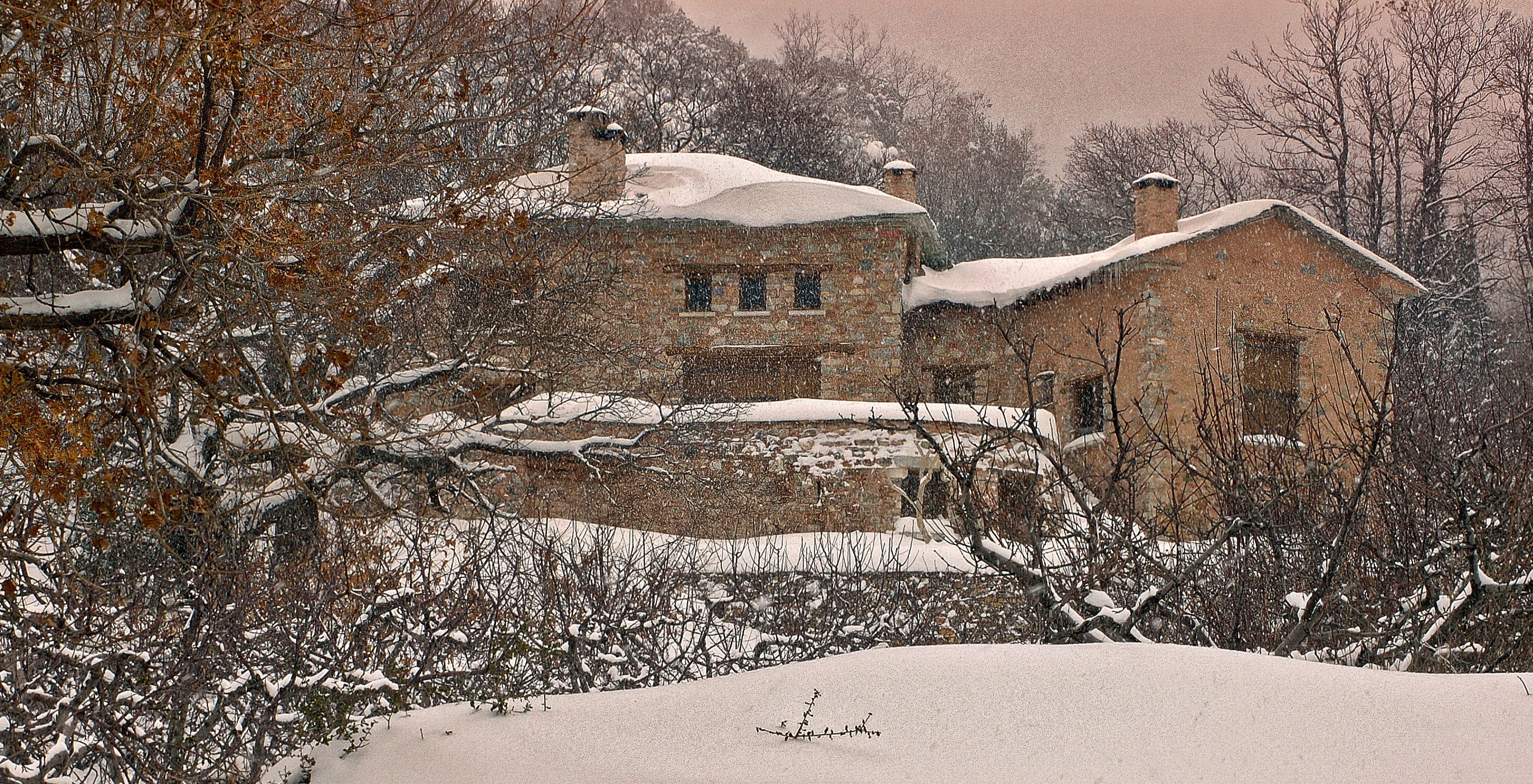 Pelion 山间混凝土石屋，融入自然的简约生活-50