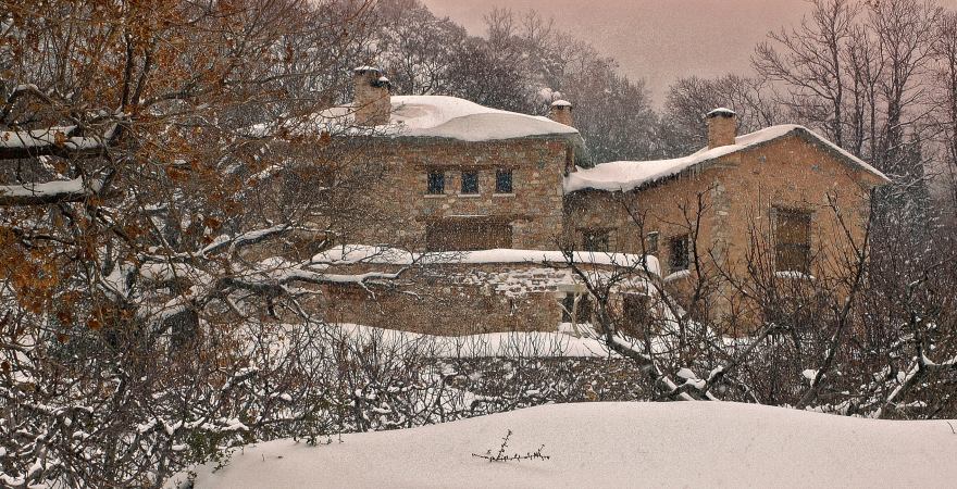 Pelion 山间混凝土石屋,融入自然的简约生活-50
