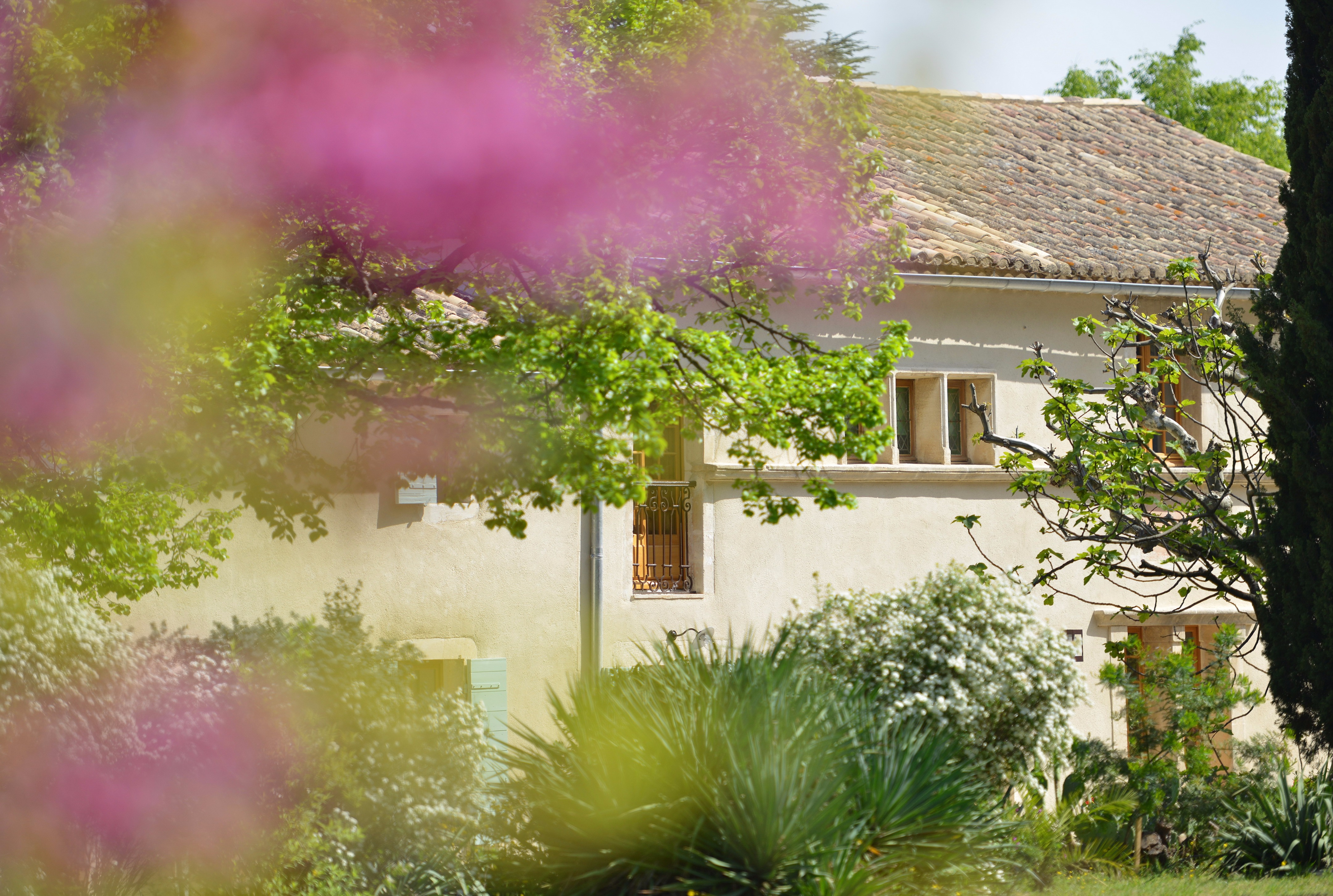 普罗旺斯香薰世家住宅设计-47