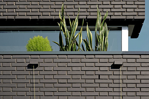 绿意盎然的家 | 垂直花园的室内设计-7