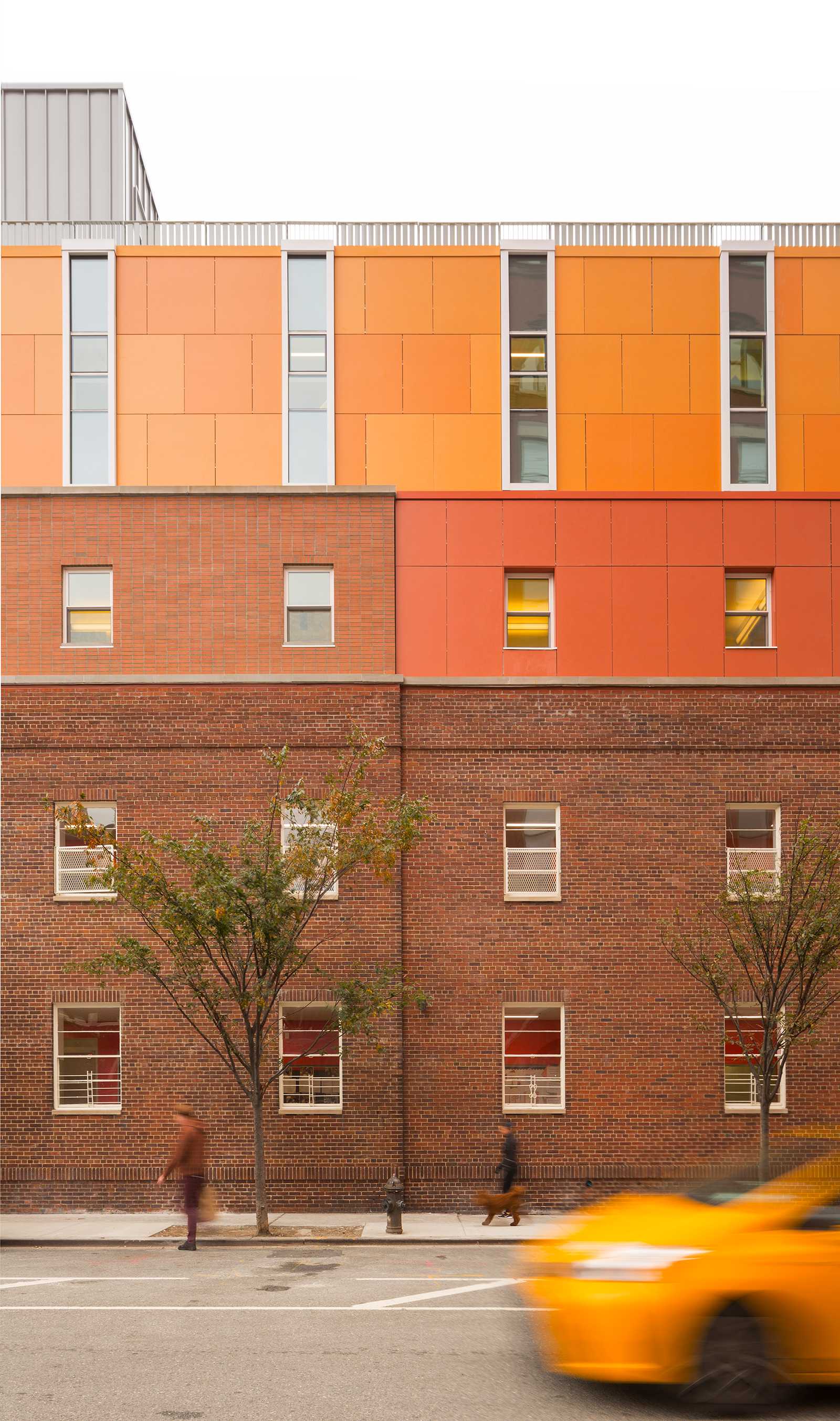 圣卢克学校(SLS)-23