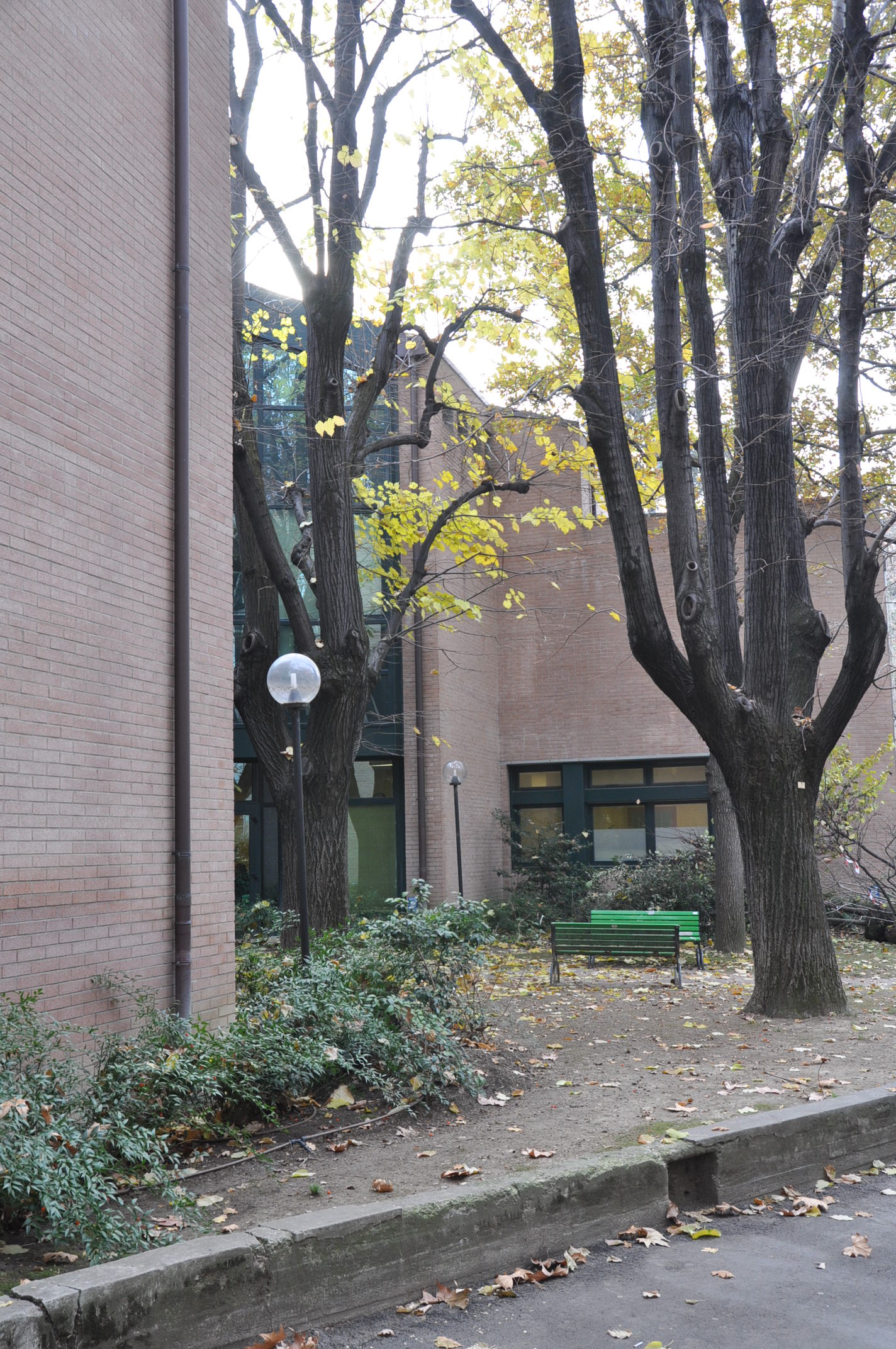 1999 年完成的圣奥尔索拉血液病研究所-7