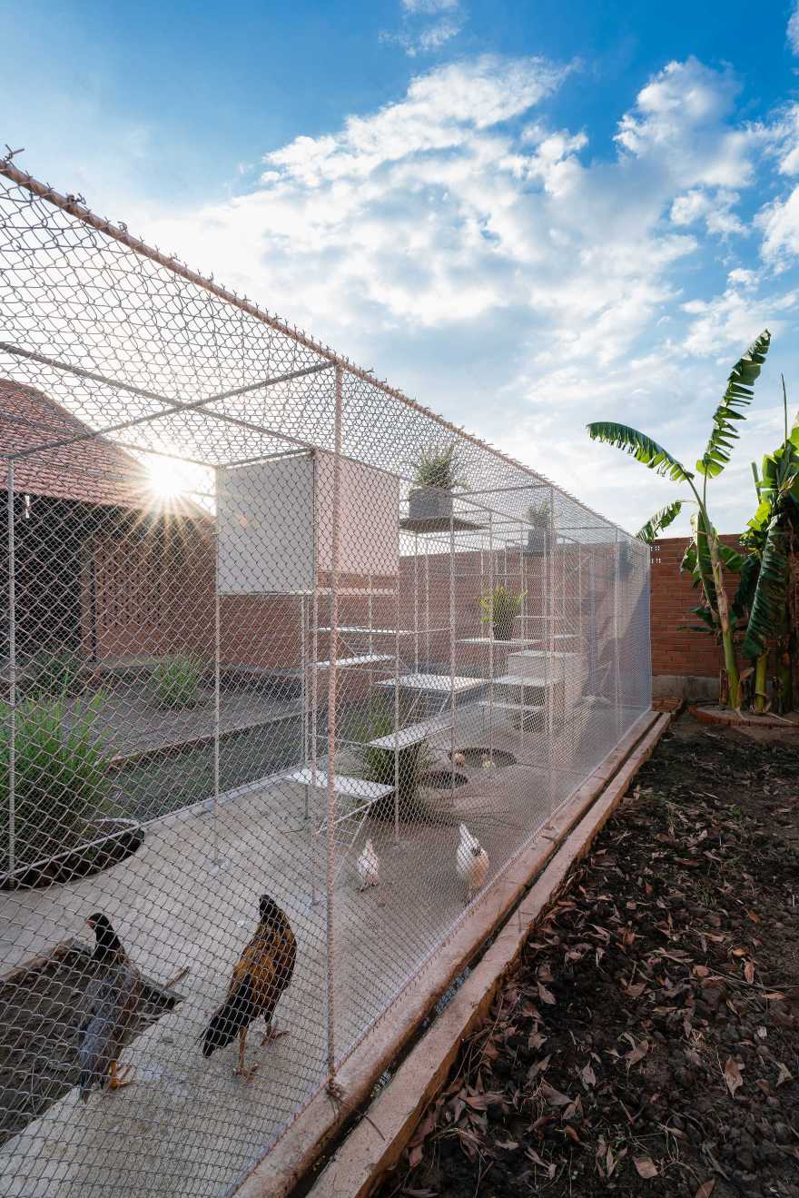 鸡舍建筑,儿童乐趣与自然的融合-8