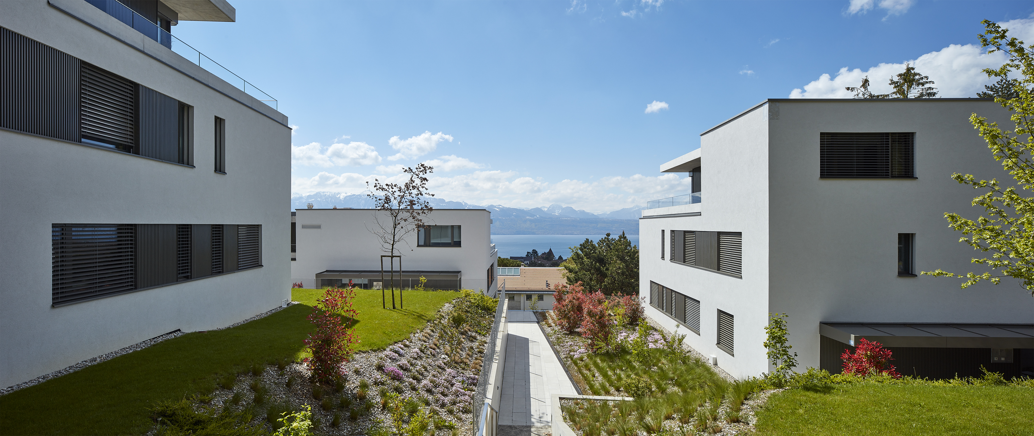 瑞士 Pully 别墅区三栋城市别墅设计-7