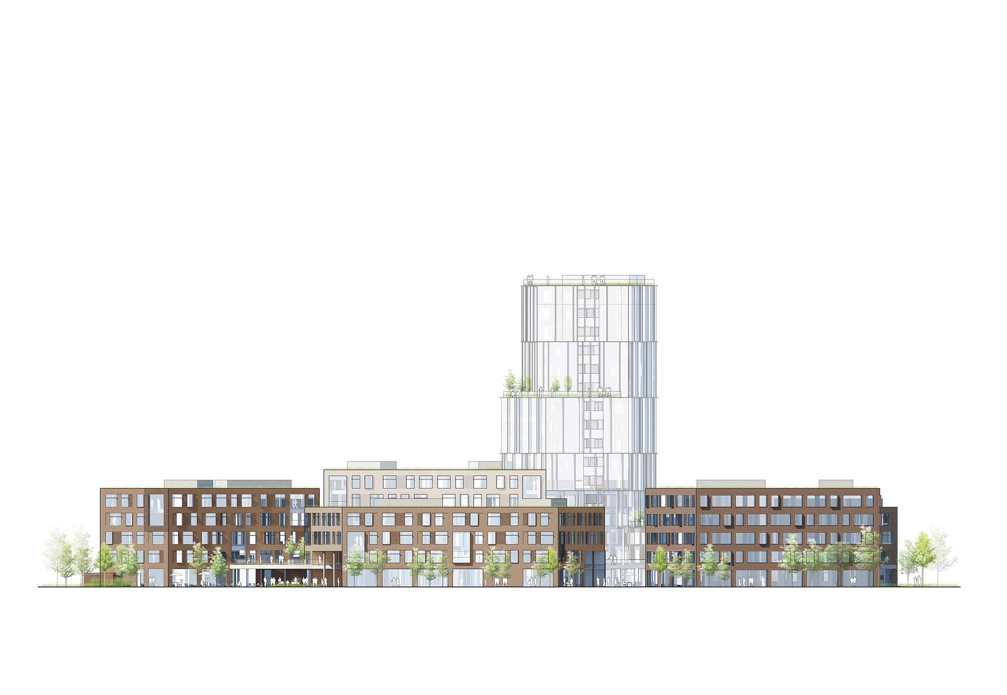 通过大学学院,校园霍森-19