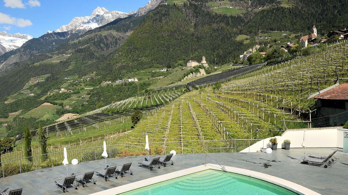 阿尔卑斯山间的五星级酒店改造-13