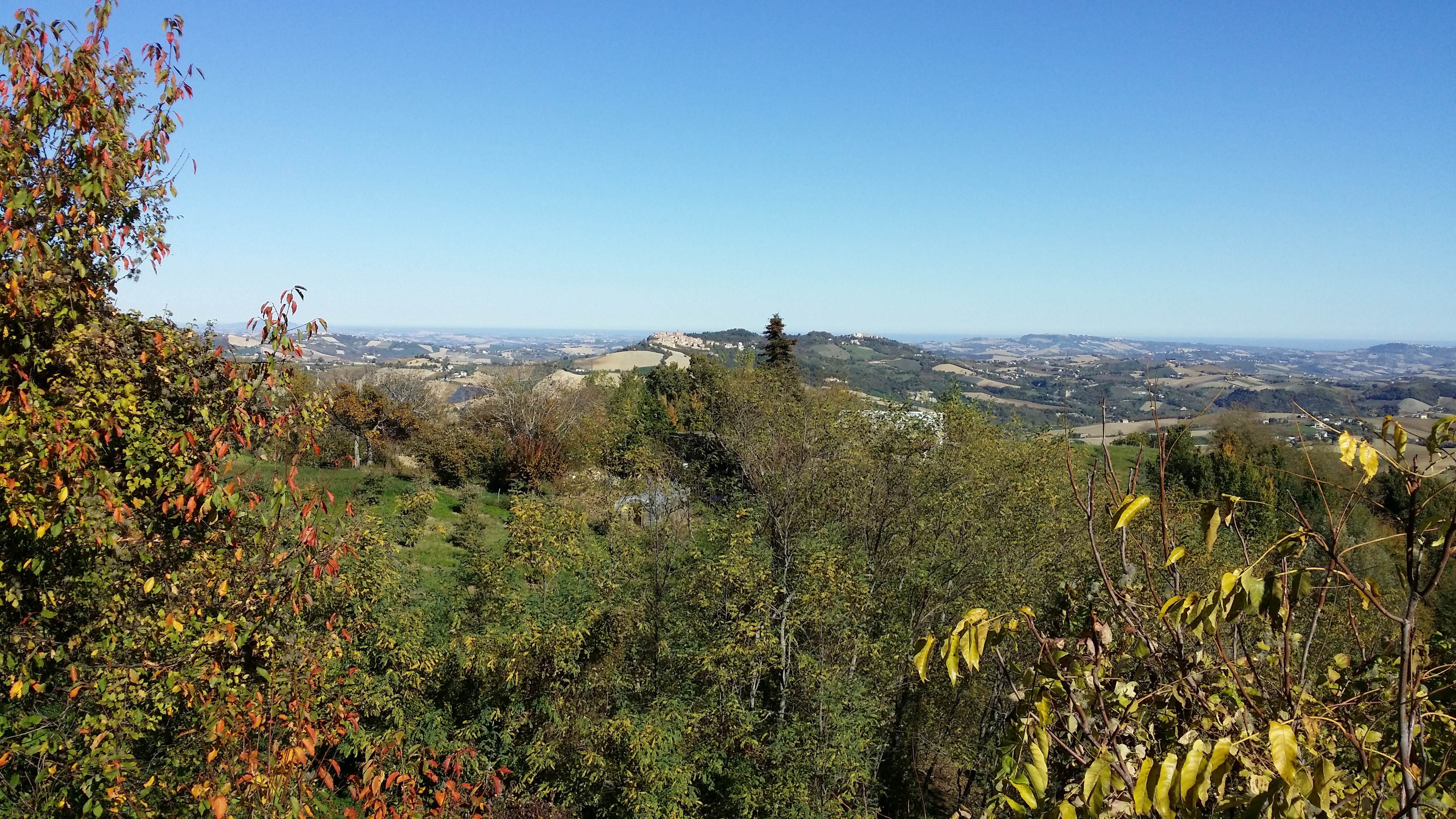 古村焕新颜 · Capradosso 小镇建筑修复与城市绿化提升-1