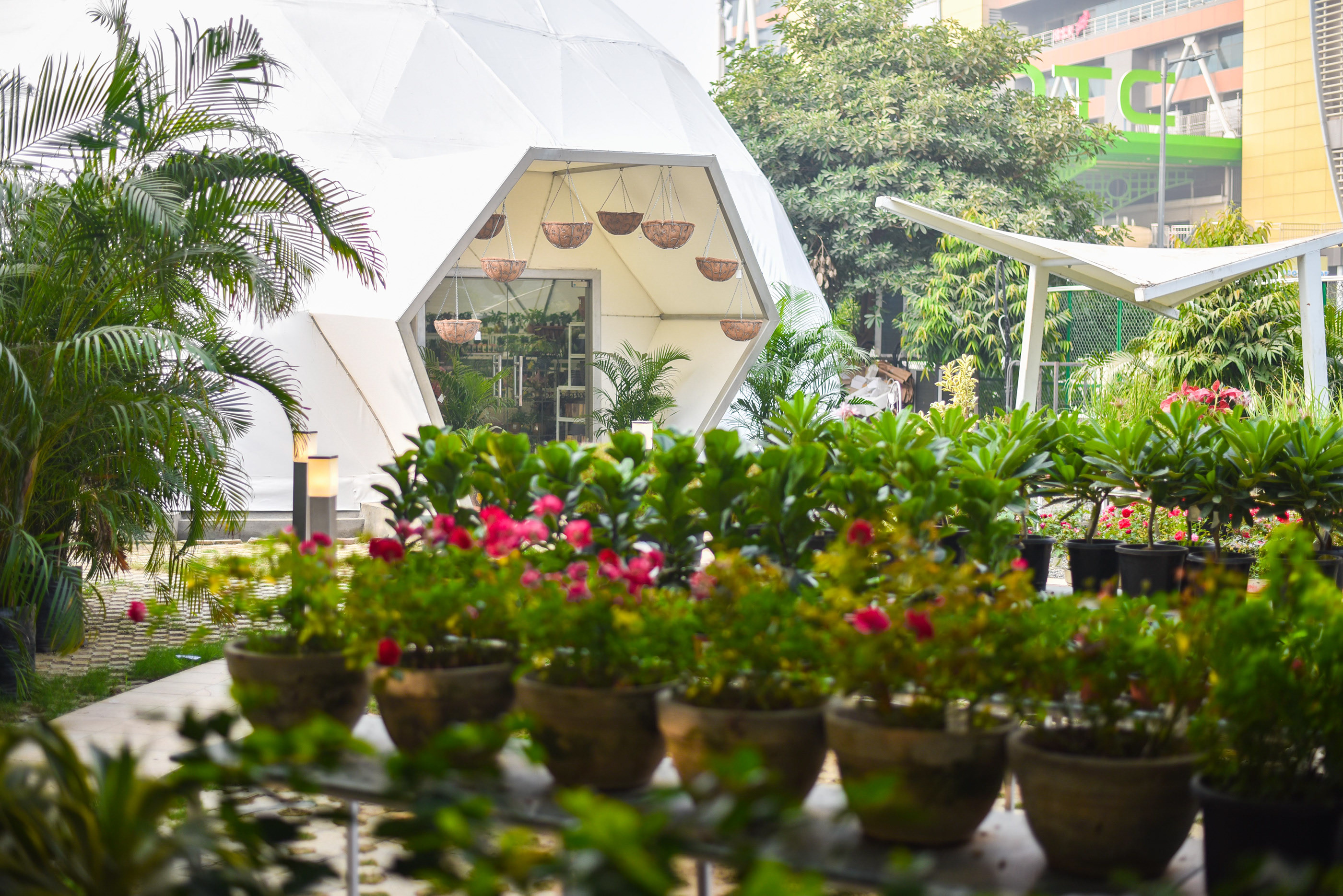 绿色氧吧 NG Studio-31