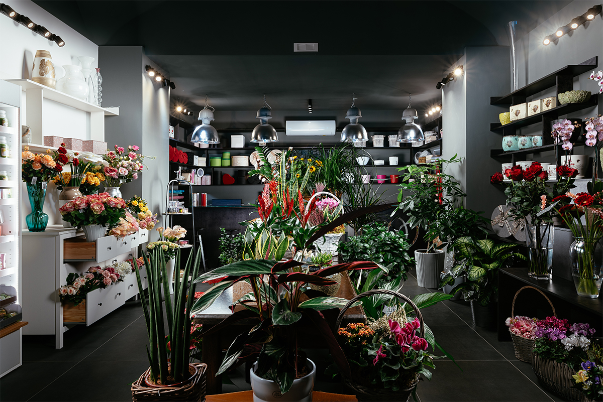 拉弗洛雷亚勒巴科利-1