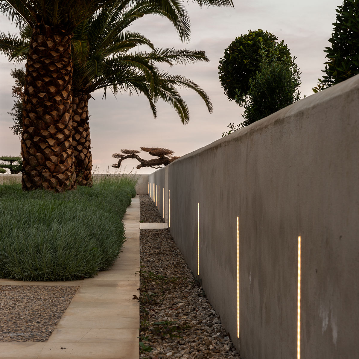 Radicepura 植物公园-7