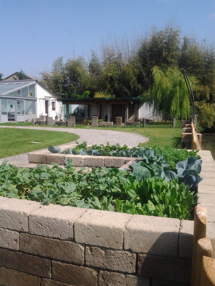 一个农村住宅及其附属马厩的生物生态重建·建筑·西蒙娜·普雷特-6