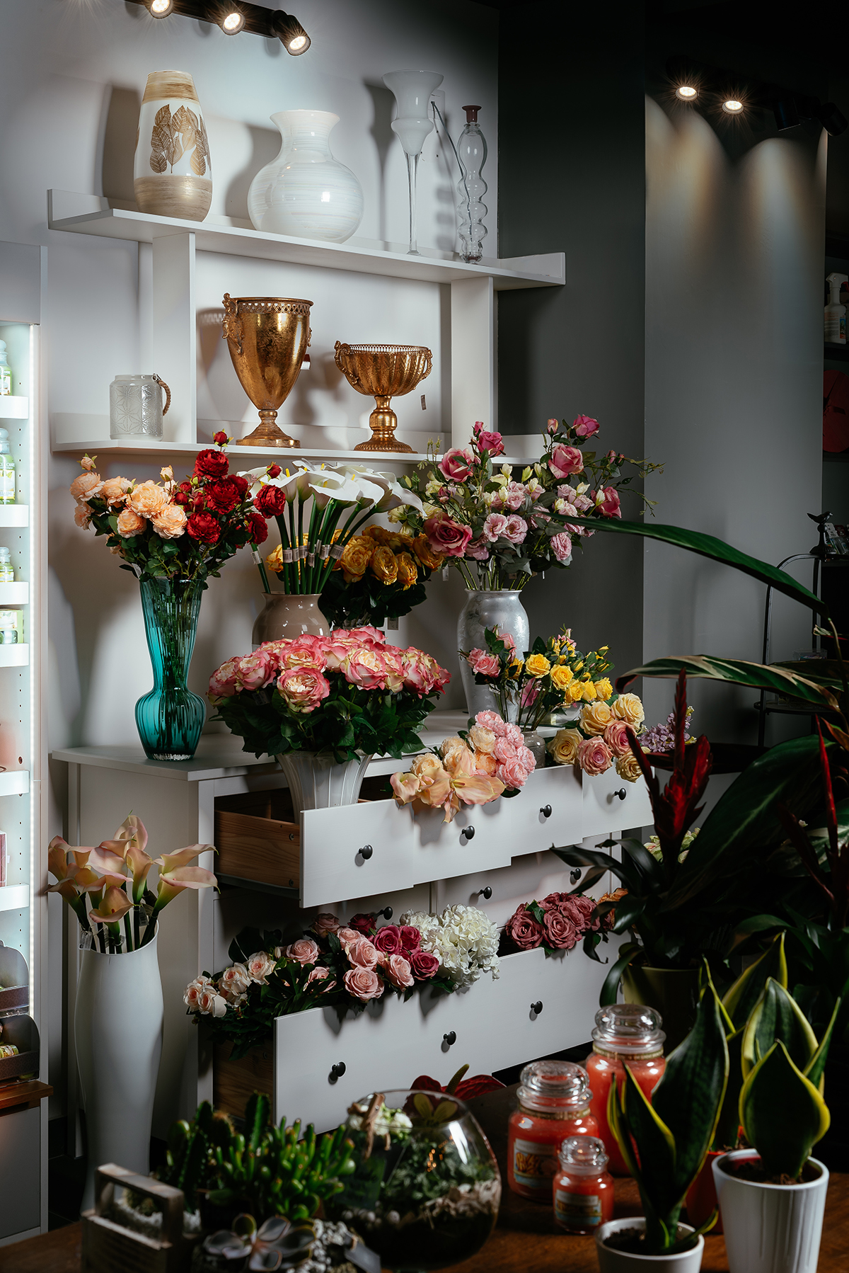 拉弗洛雷亚勒巴科利-13