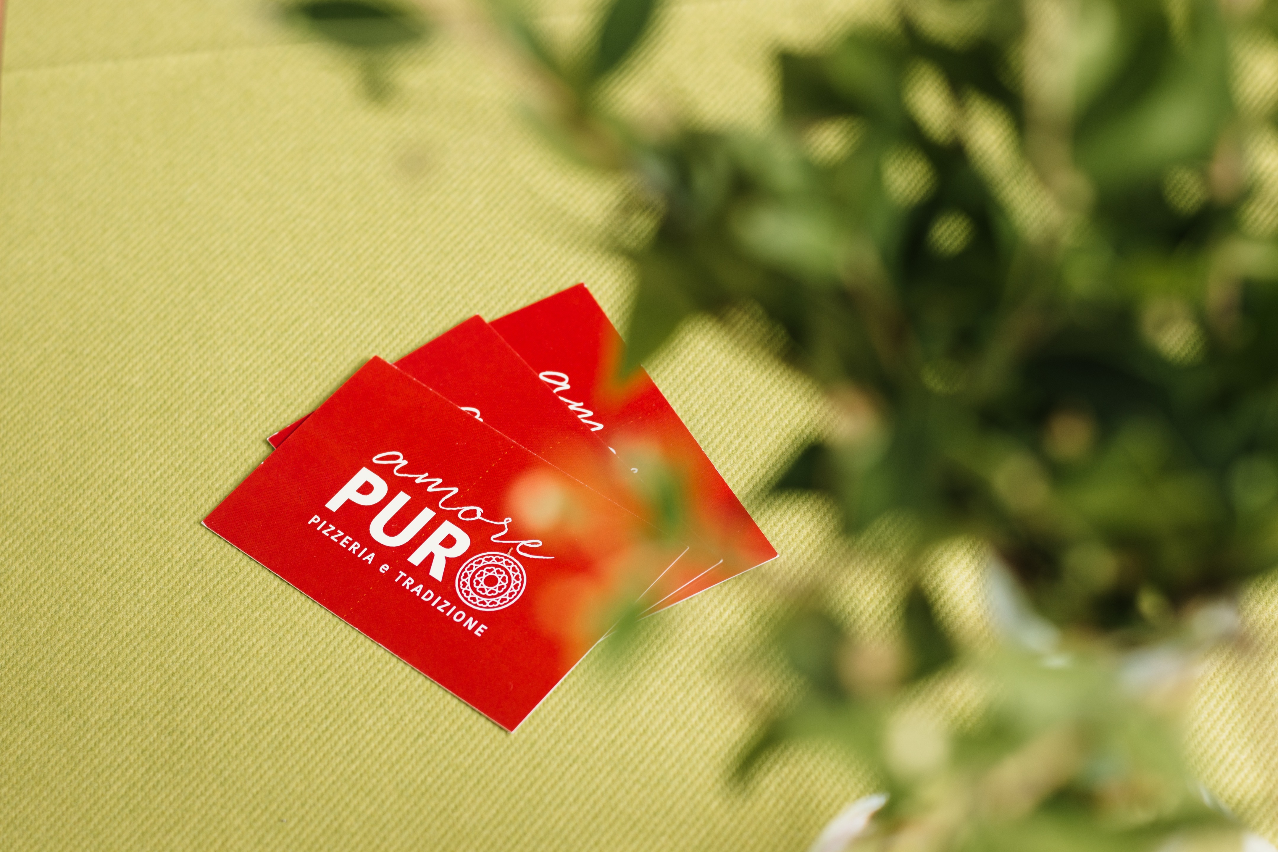 纯粹之爱 | 传统与土地的深情链接-17