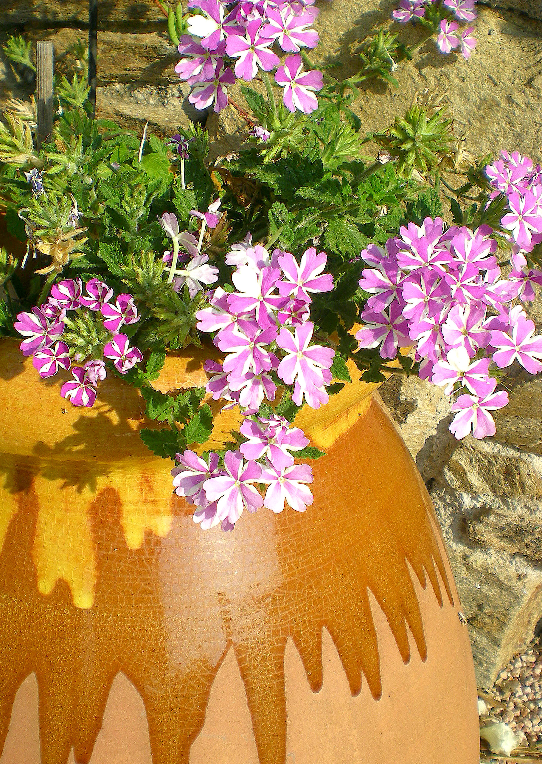 地中海风格的蓝海庄园-7