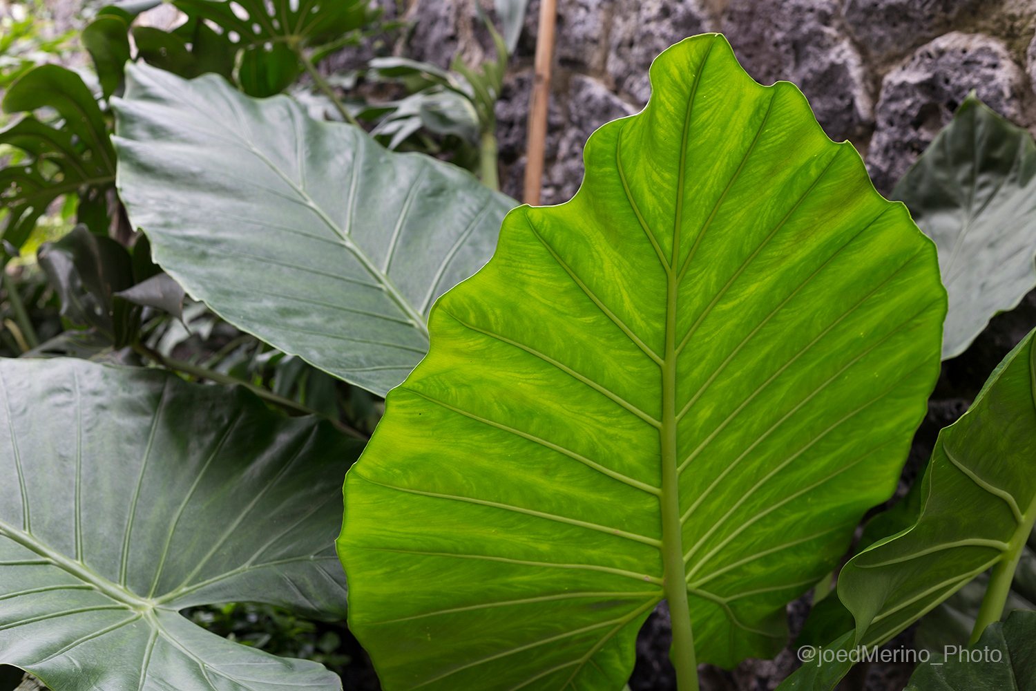 自然光通风的浴室设计-14