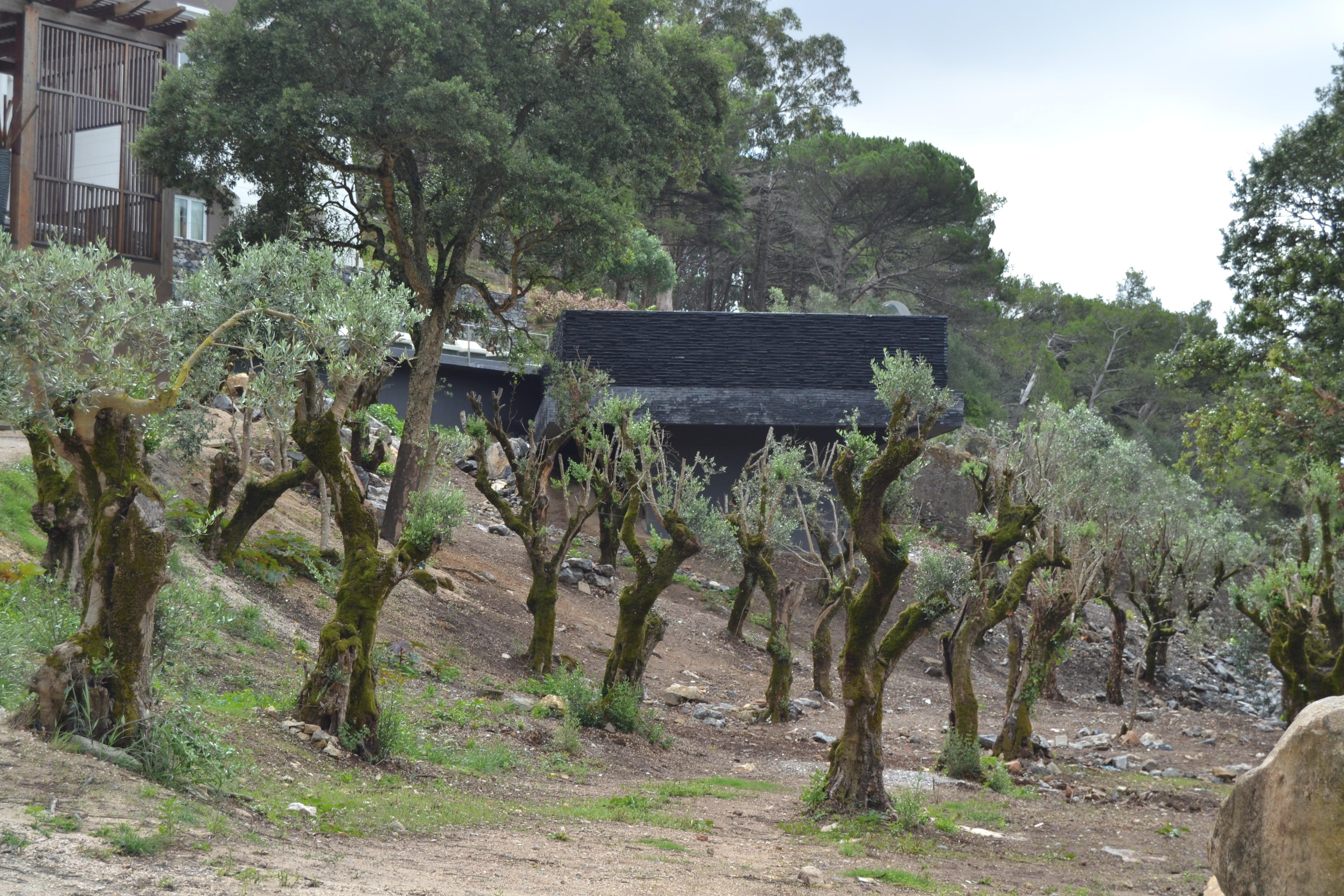 惊艳的 9 米高悬浮泳池设计-2
