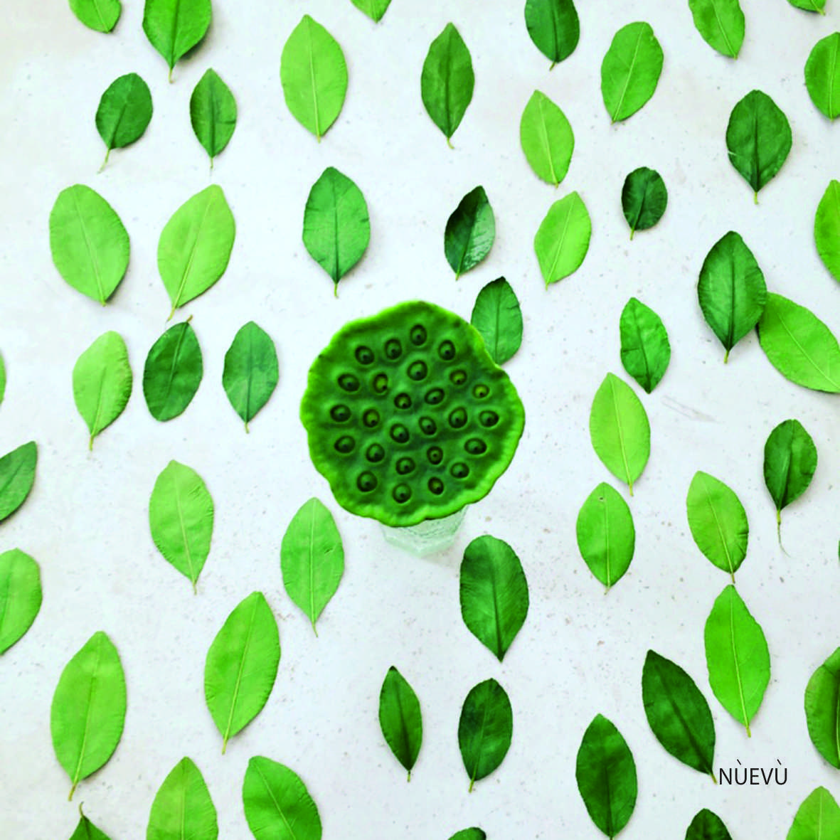 多元设计展现,意大利风情空间-21